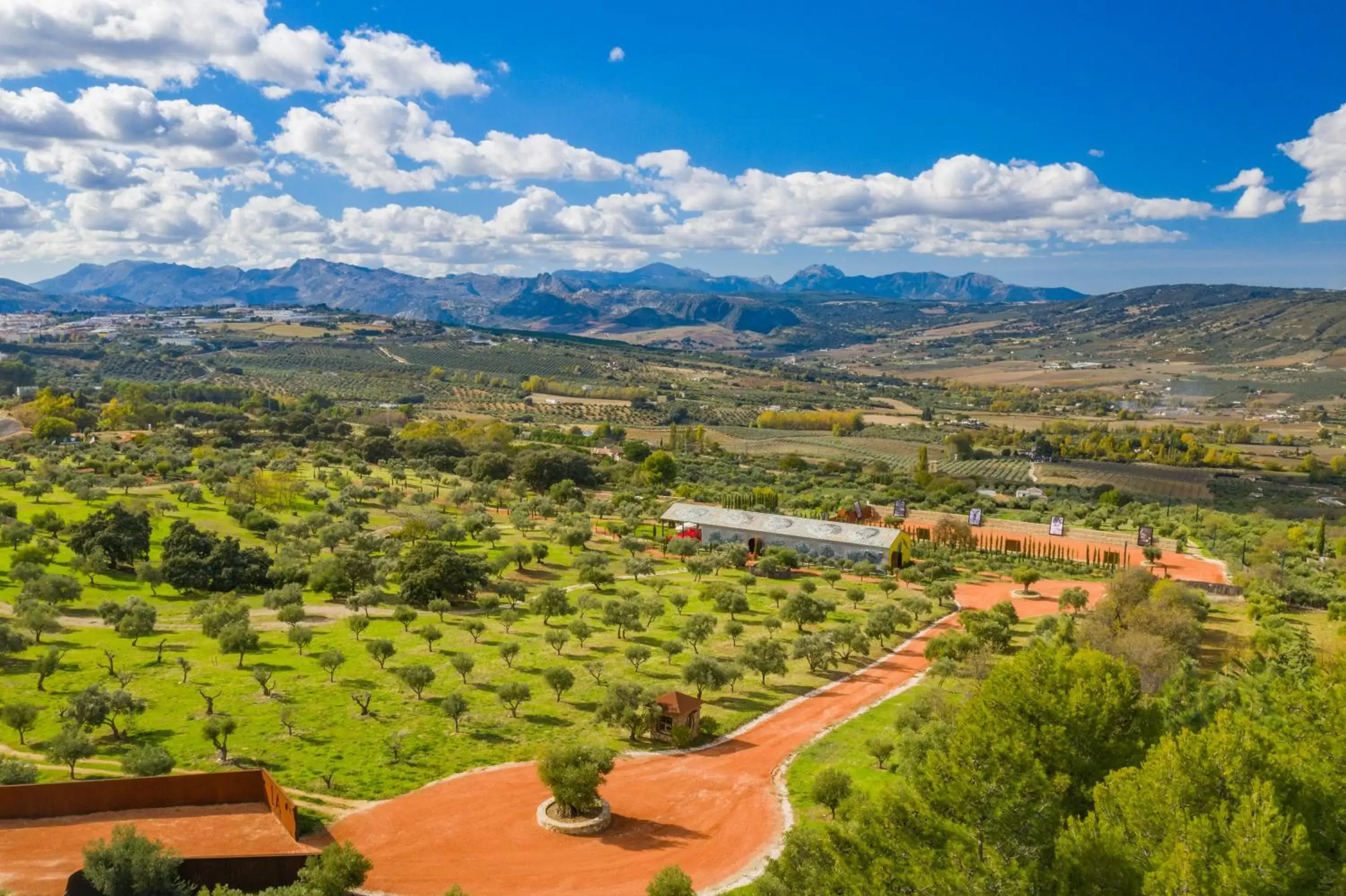 Bird's-eye View in Cortijo LA Organic