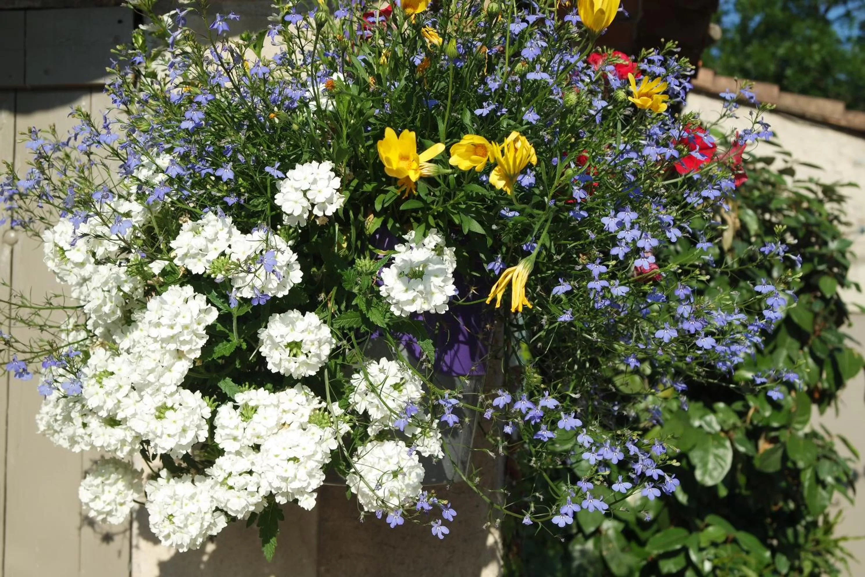 Mas Grimaud - Gîte- Studio et chambres d'hôtes familiales