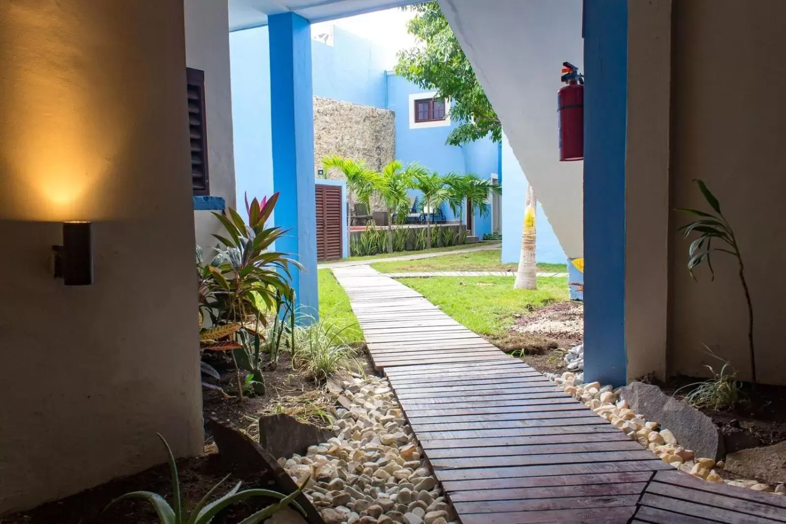 Garden in Hotel Maculís