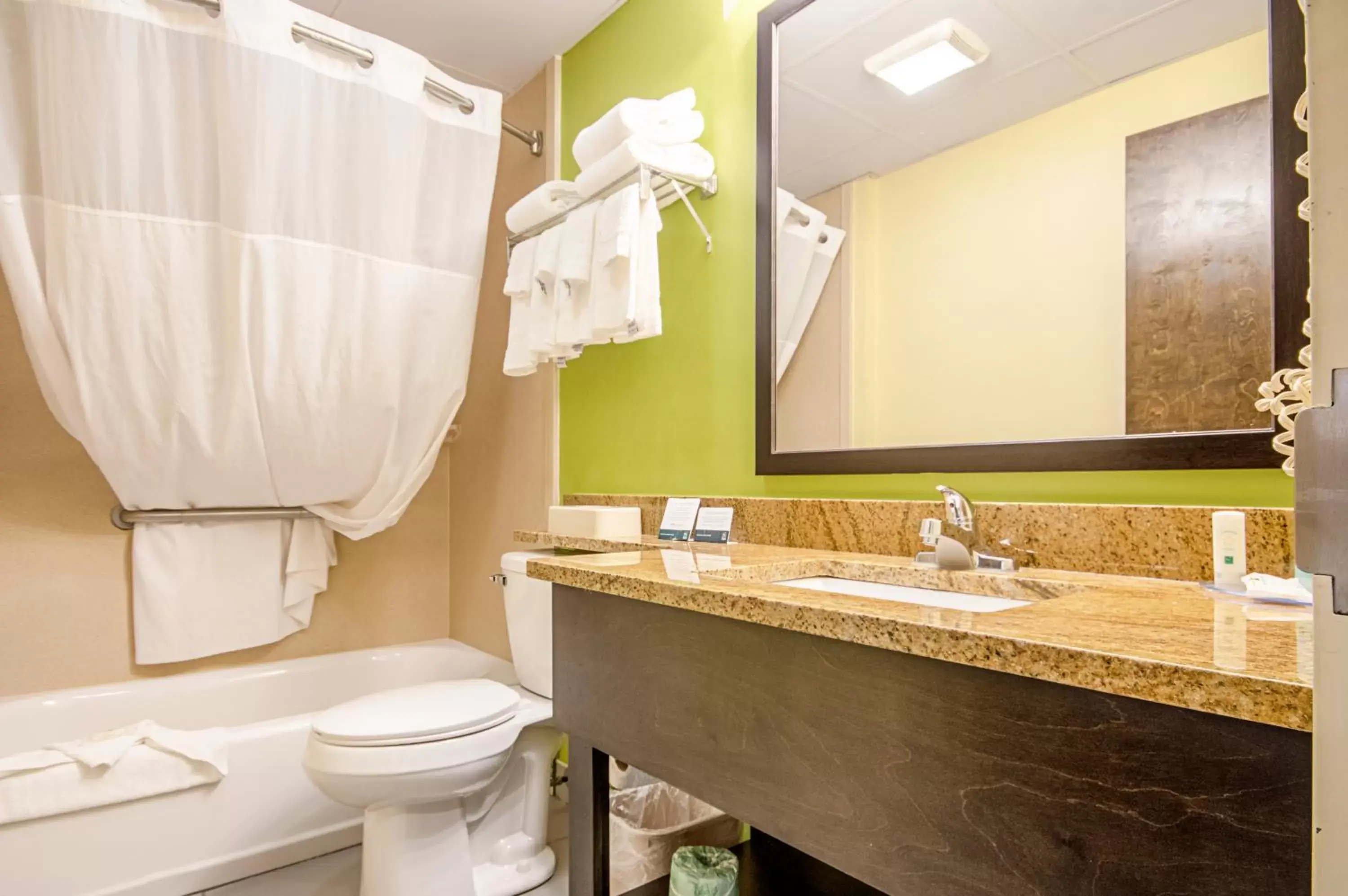 Bathroom in Quality Inn & Suites Glenmont - Albany South