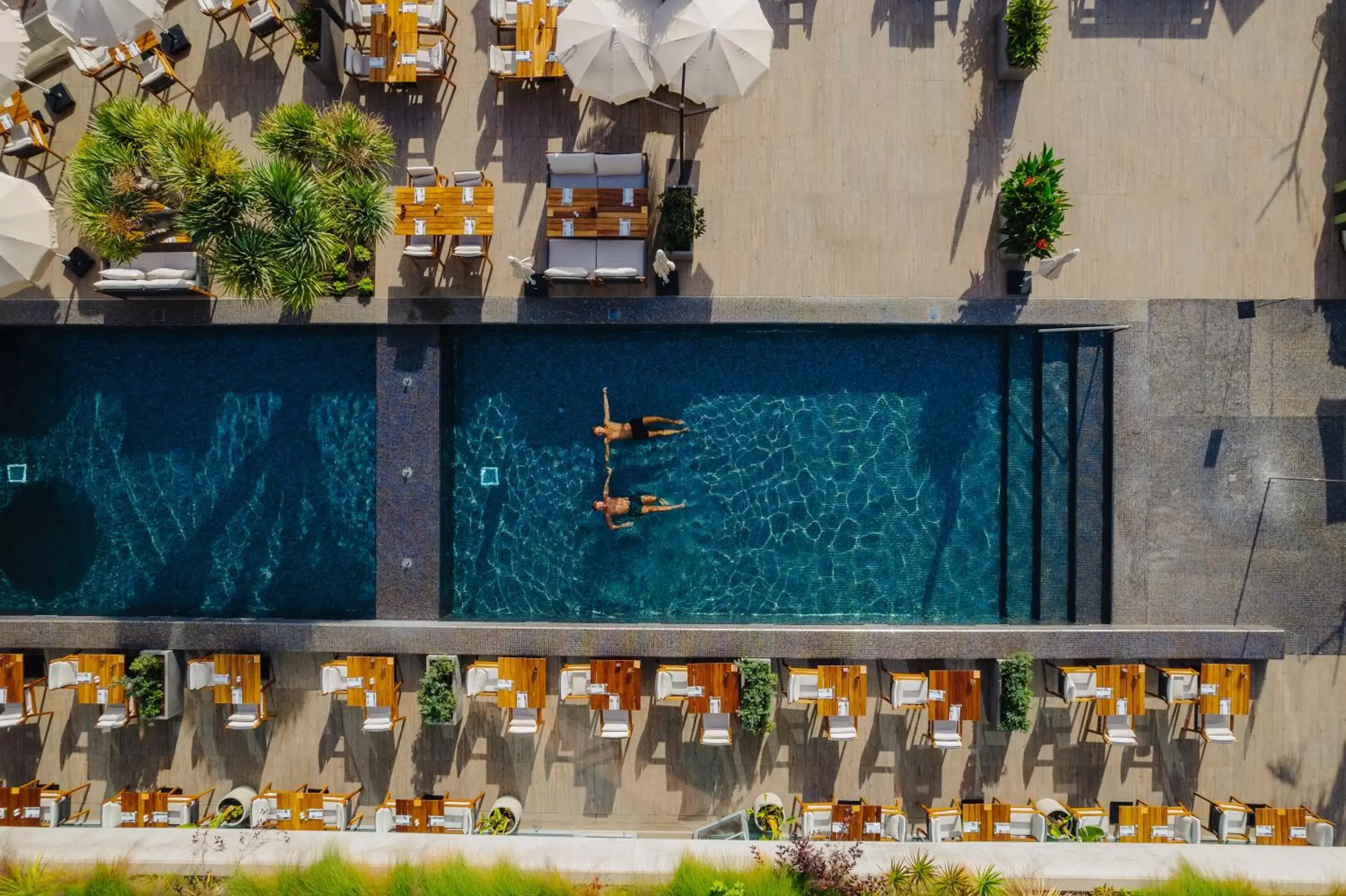 Pool View in Saccharum - Resort and Spa - Savoy Signature