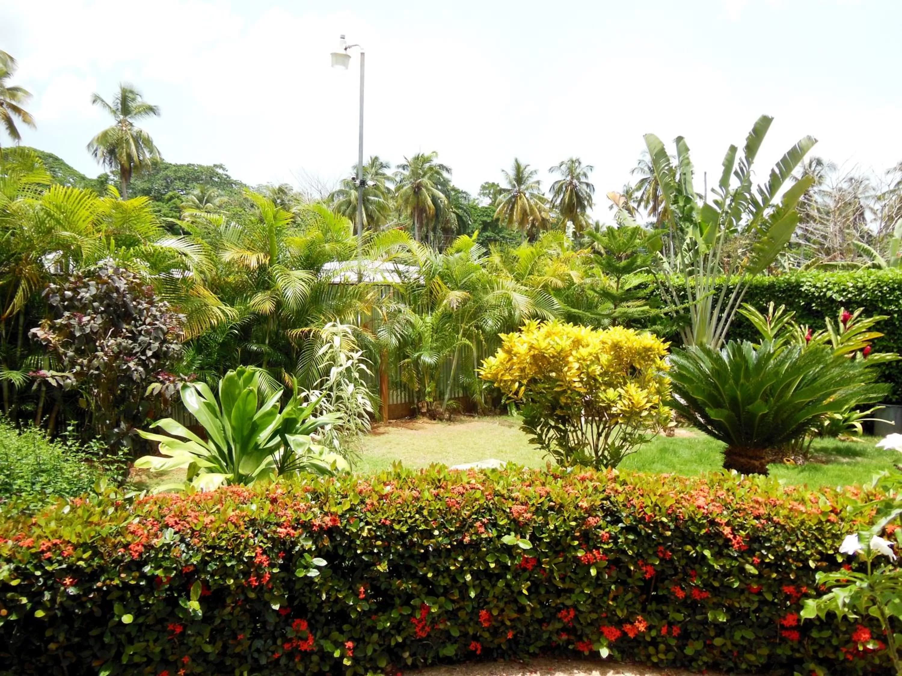Garden in Casa Lily & Coco