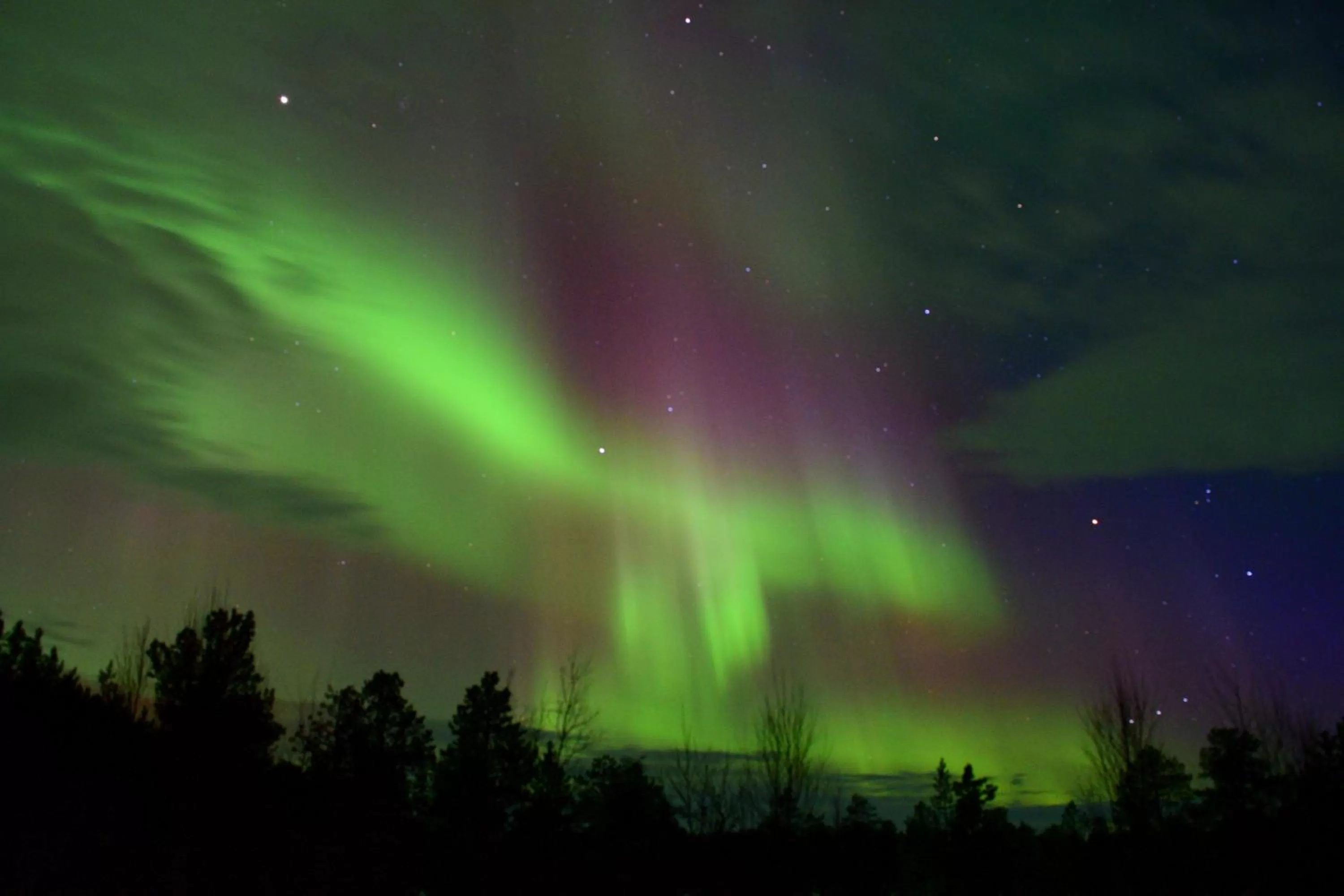 Spring in Hotel Inari