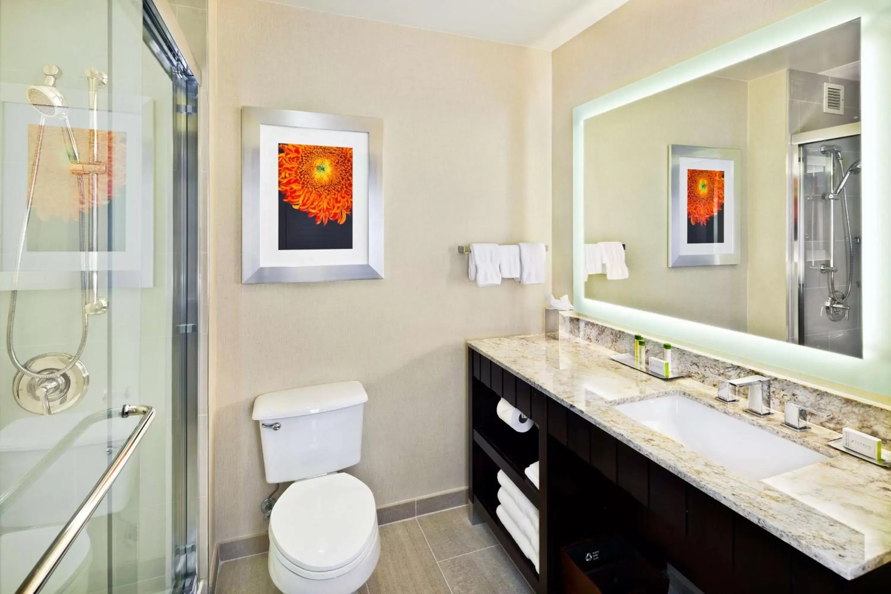 Bathroom in DoubleTree by Hilton San Francisco Airport