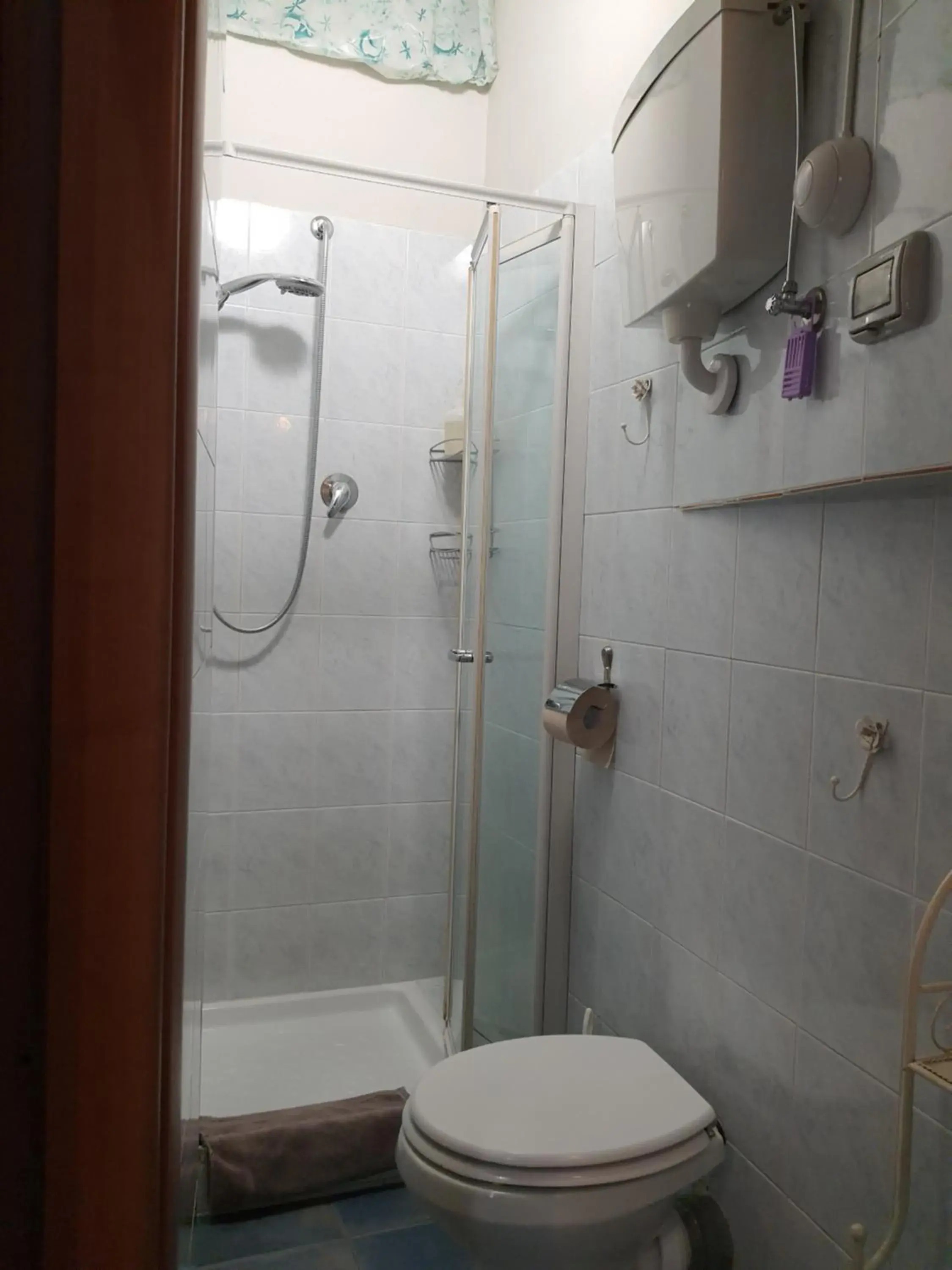 Shower, Bathroom in Albergo Avalon