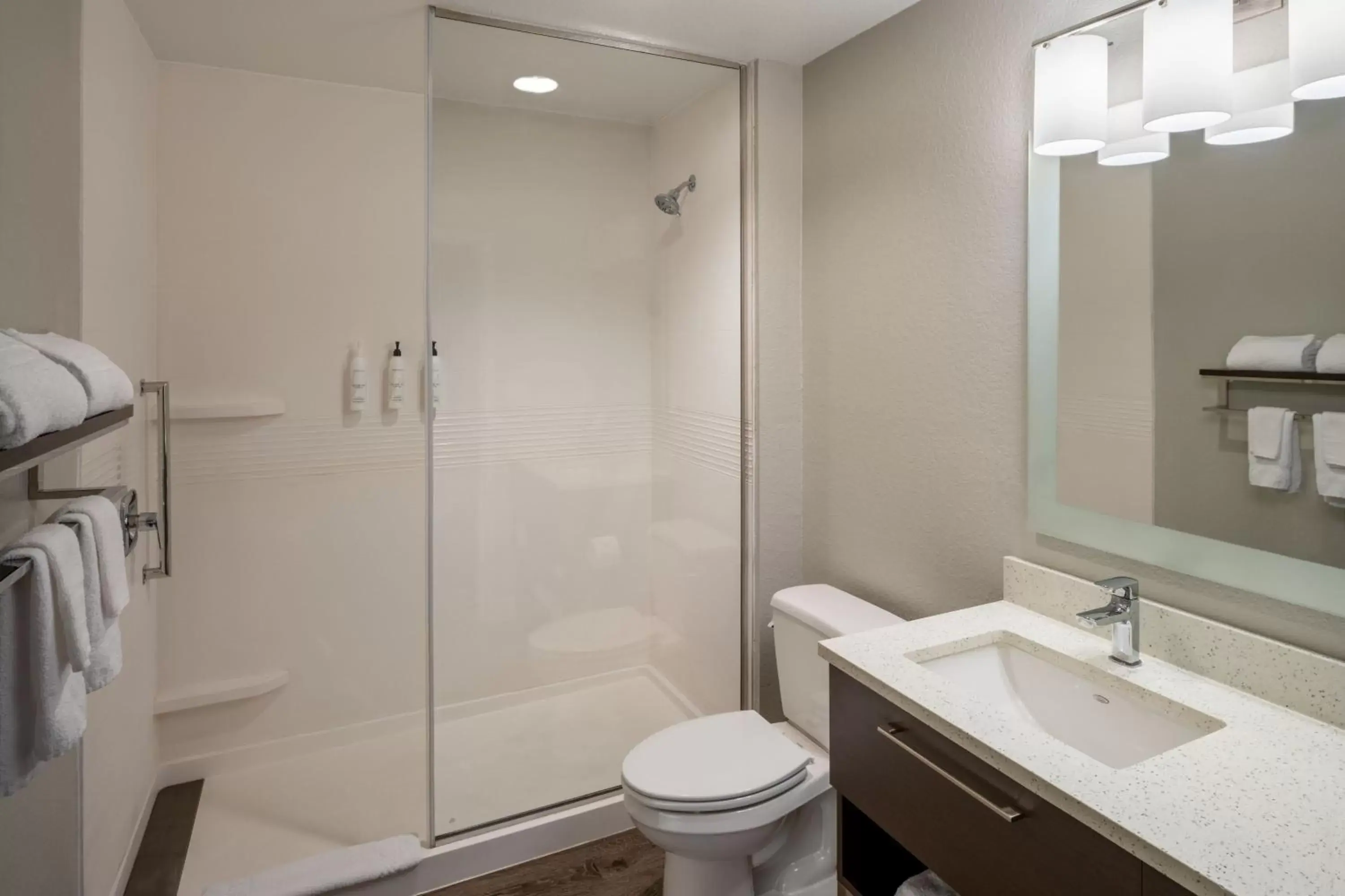 Bathroom in TownePlace Suites By Marriott Venice