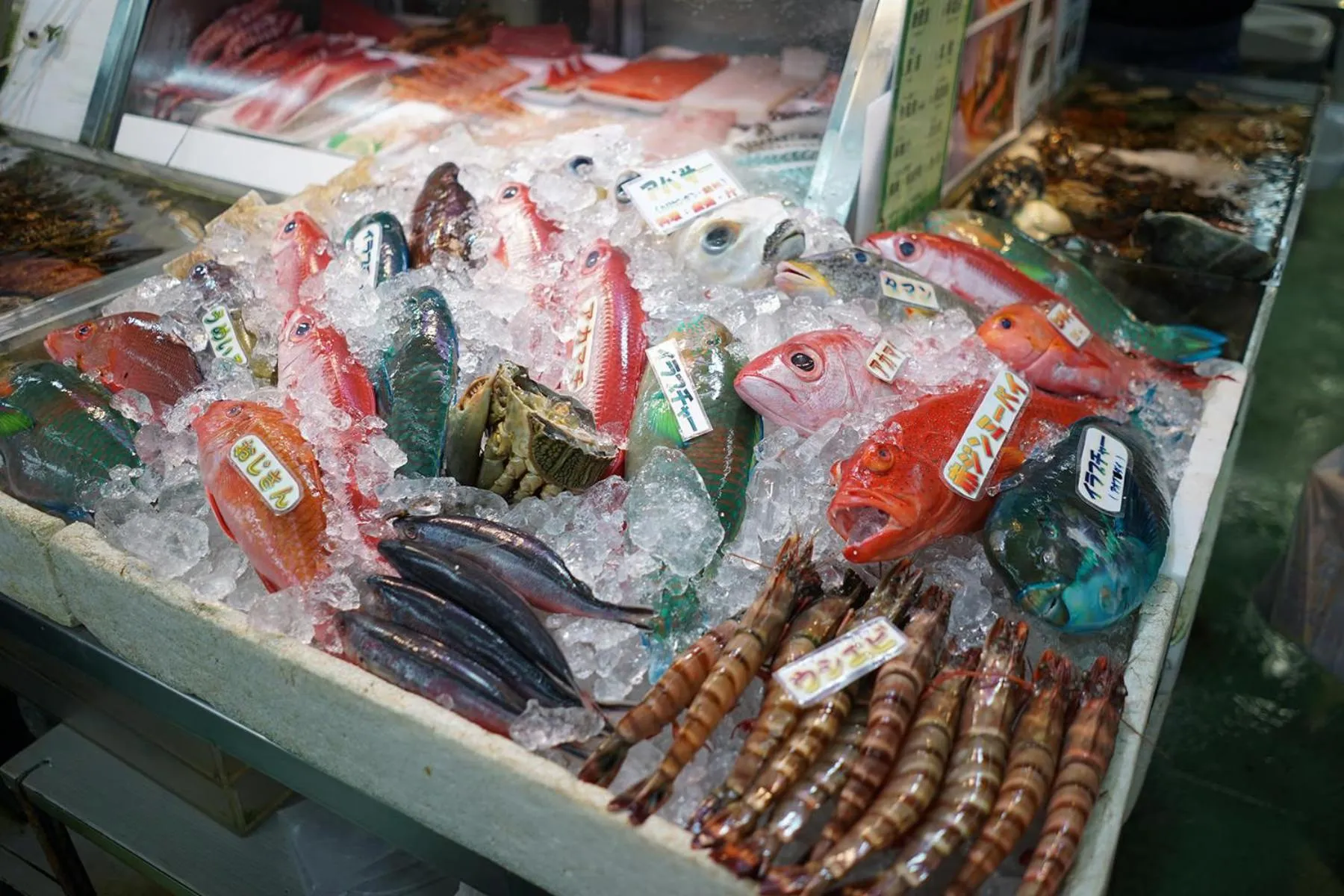 Activities in Hotel Cocktail Stay Naha