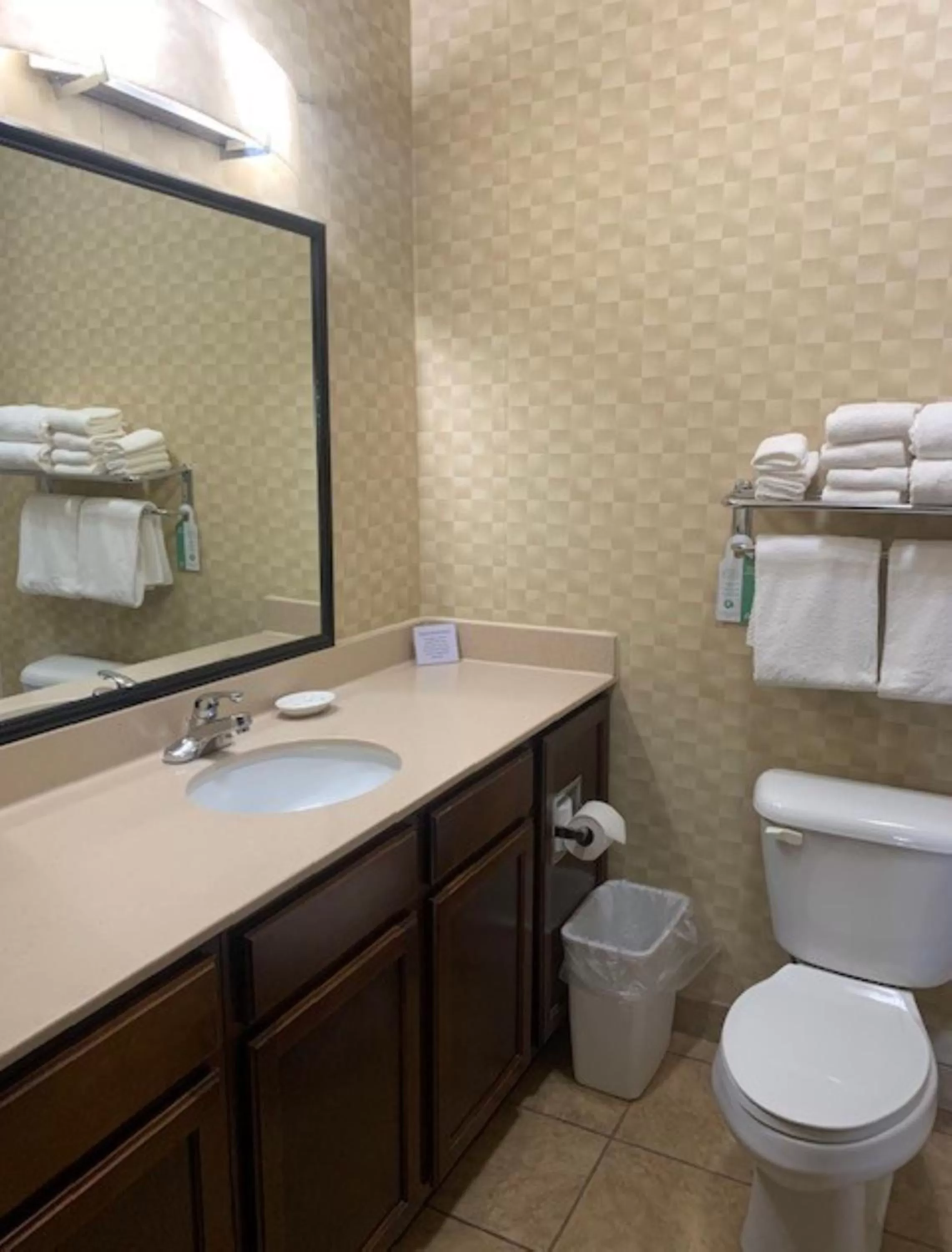 Bathroom in MainStay Suites St Robert - Fort Leonard Wood