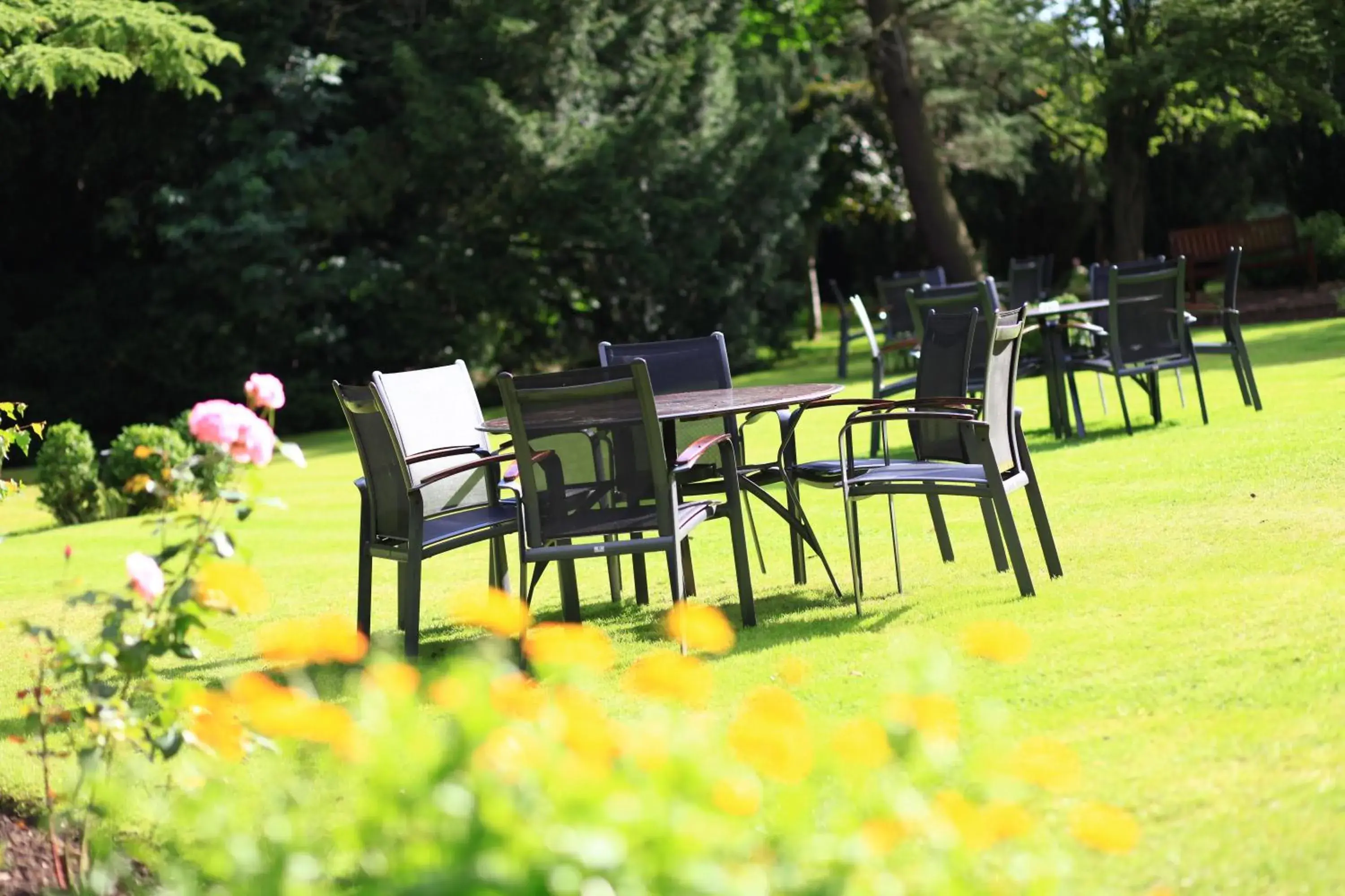 Garden in Best Western Plus Pinewood Manchester Airport-Wilmslow Hotel