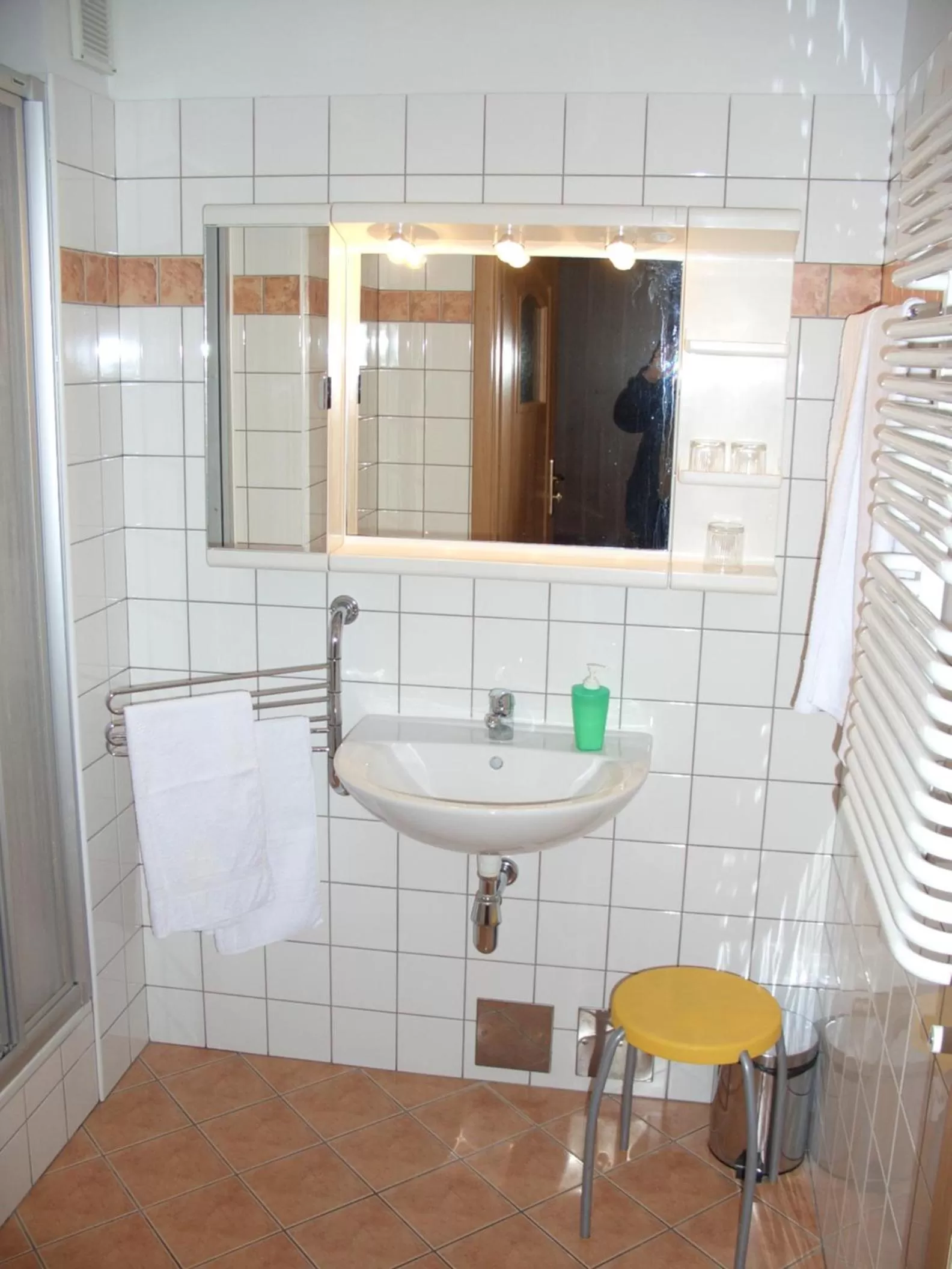 Shower, Bathroom in Hotel Alga