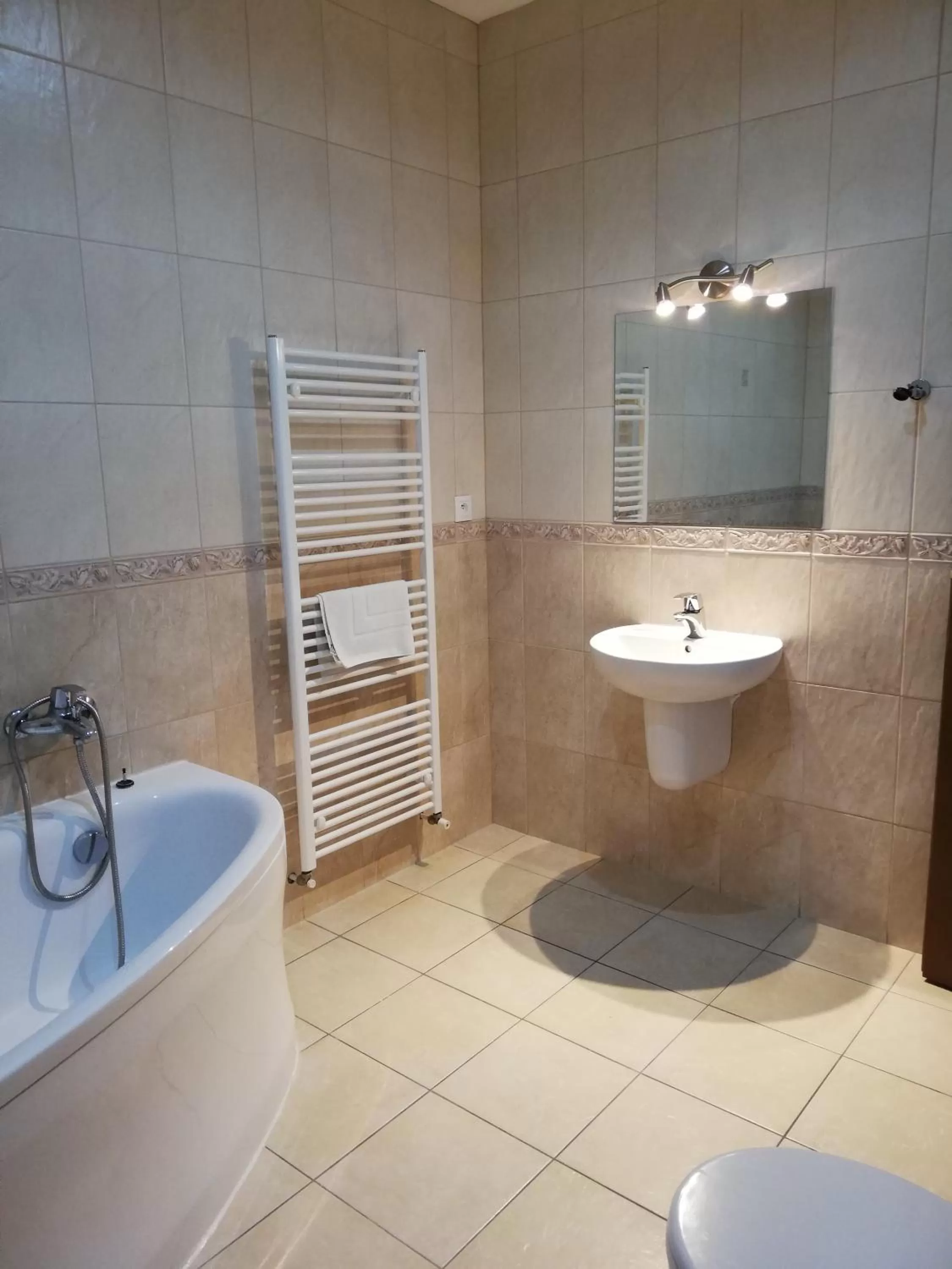 Toilet in Motel Senec