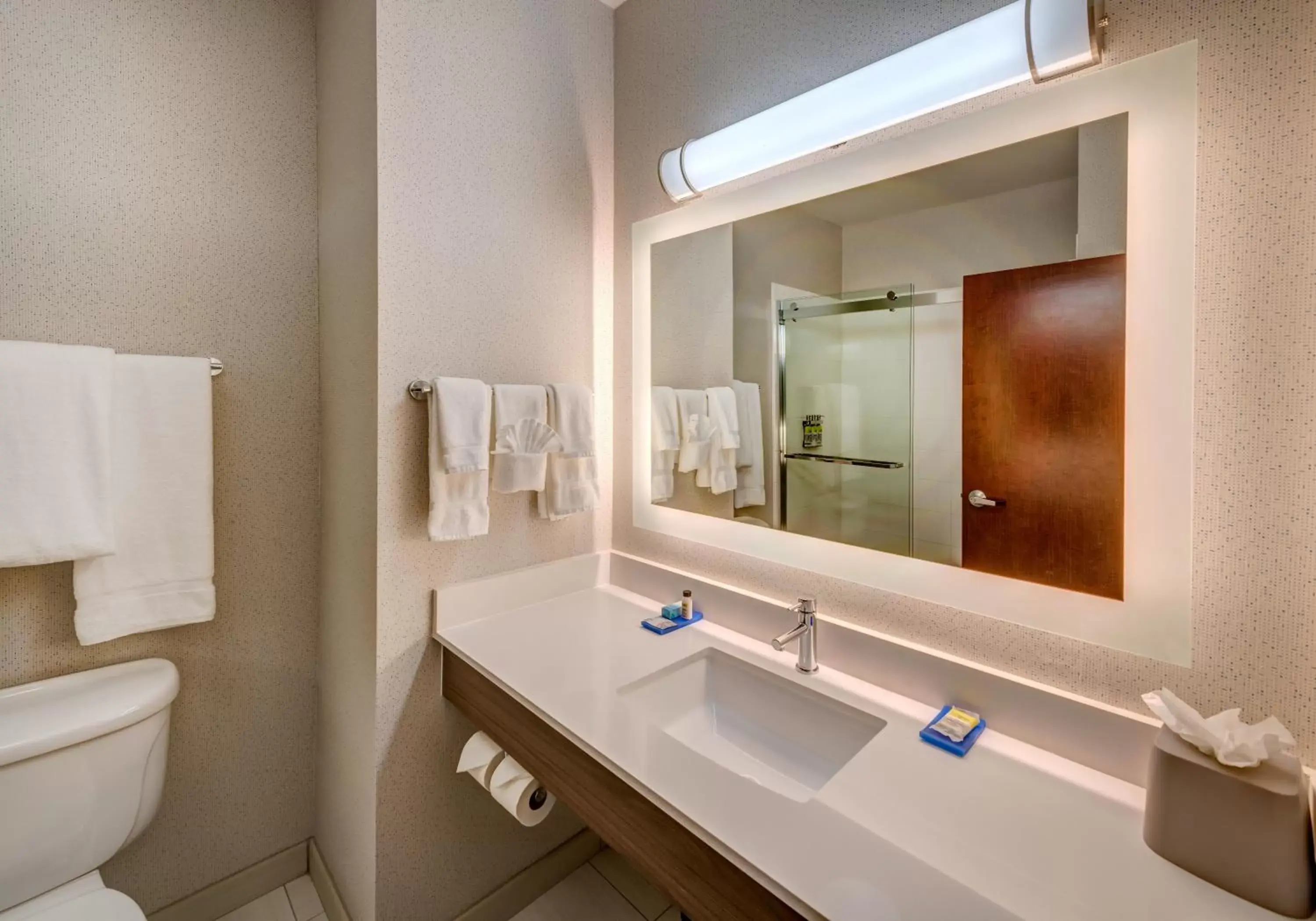 Bathroom in Holiday Inn Express Reno Airport, an IHG Hotel