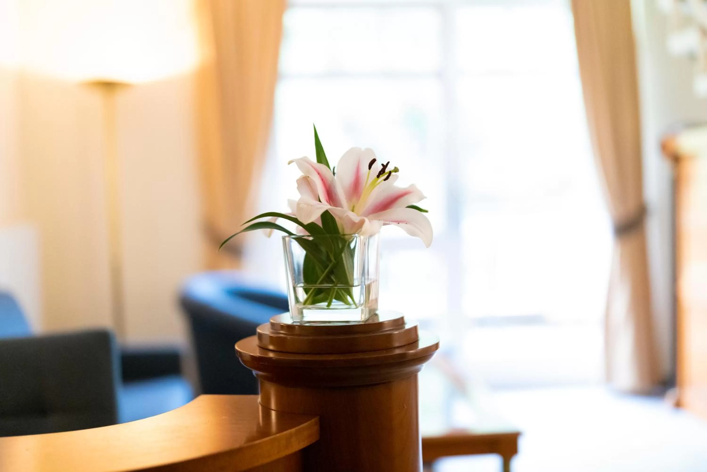 Photo of the whole room in Kurhaus am Inselsee