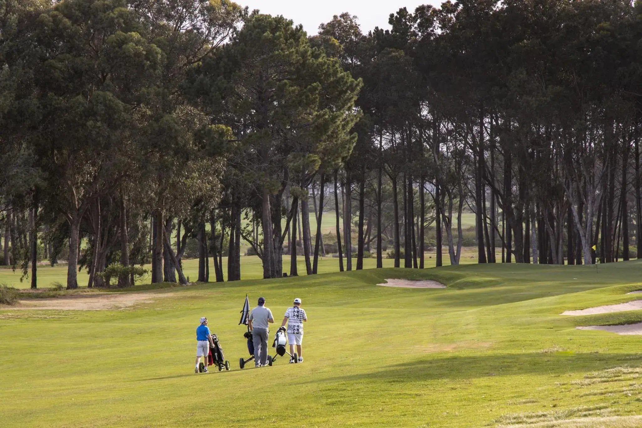 Golfcourse, Golf in Sixteen Guesthouse on Main