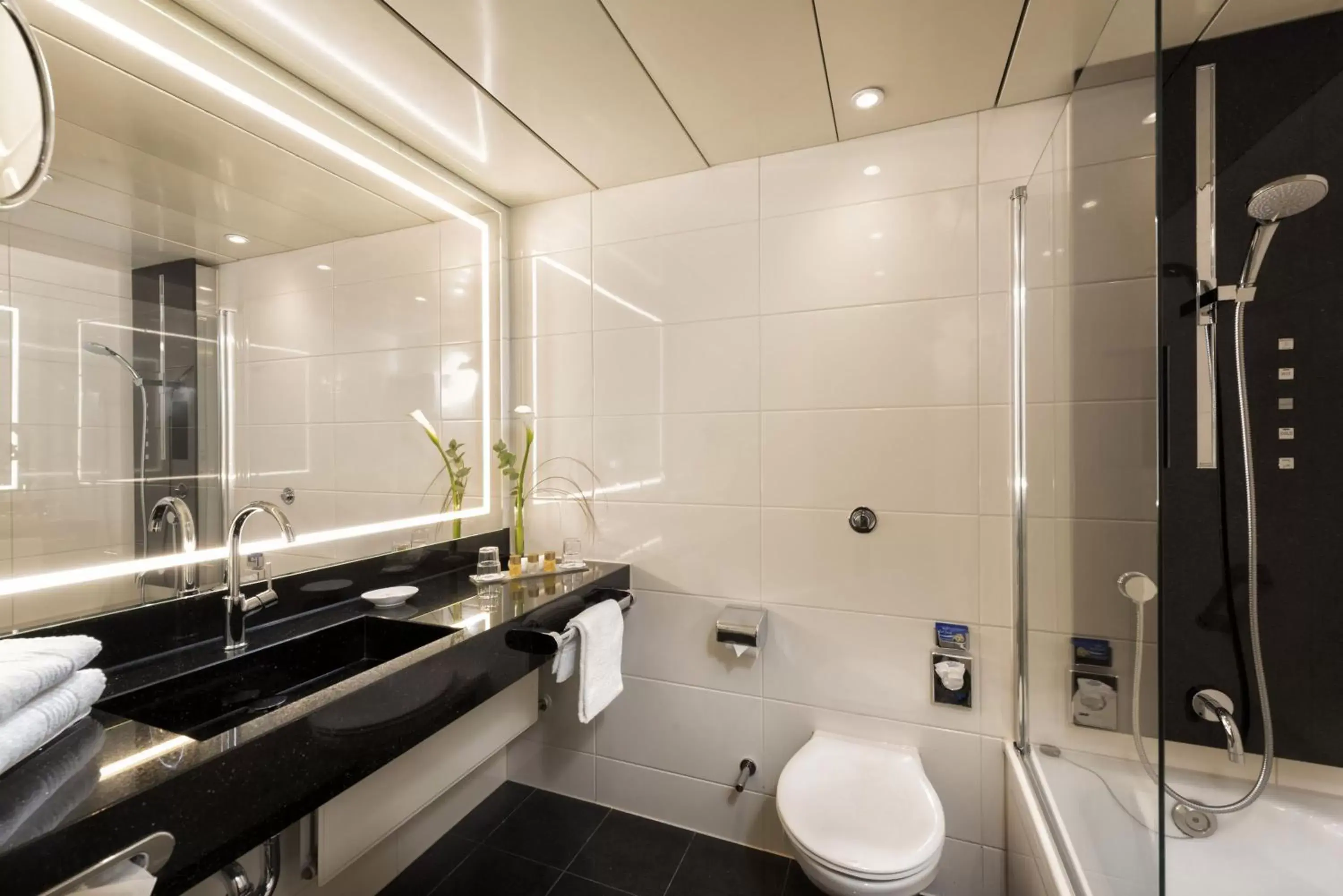 Bathroom in Maritim Hotel Bonn