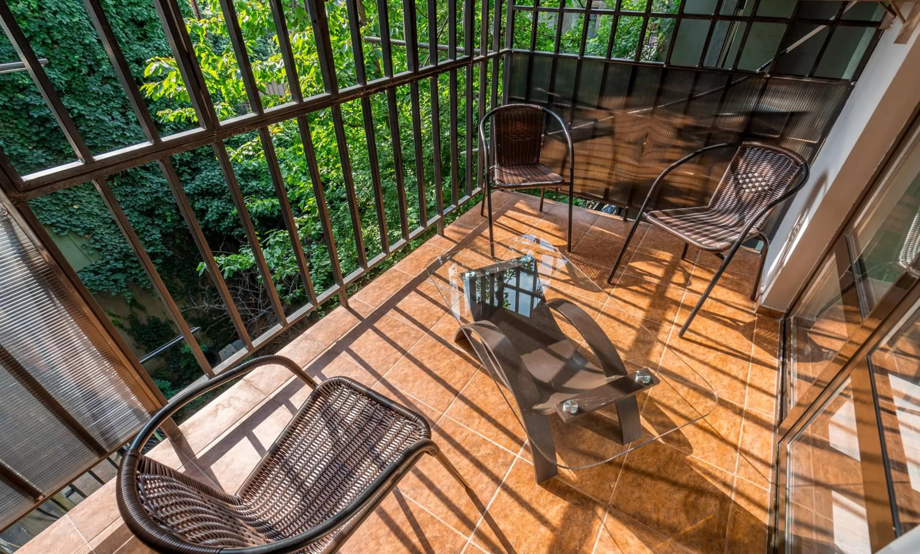 Day in Constant Tbilisi