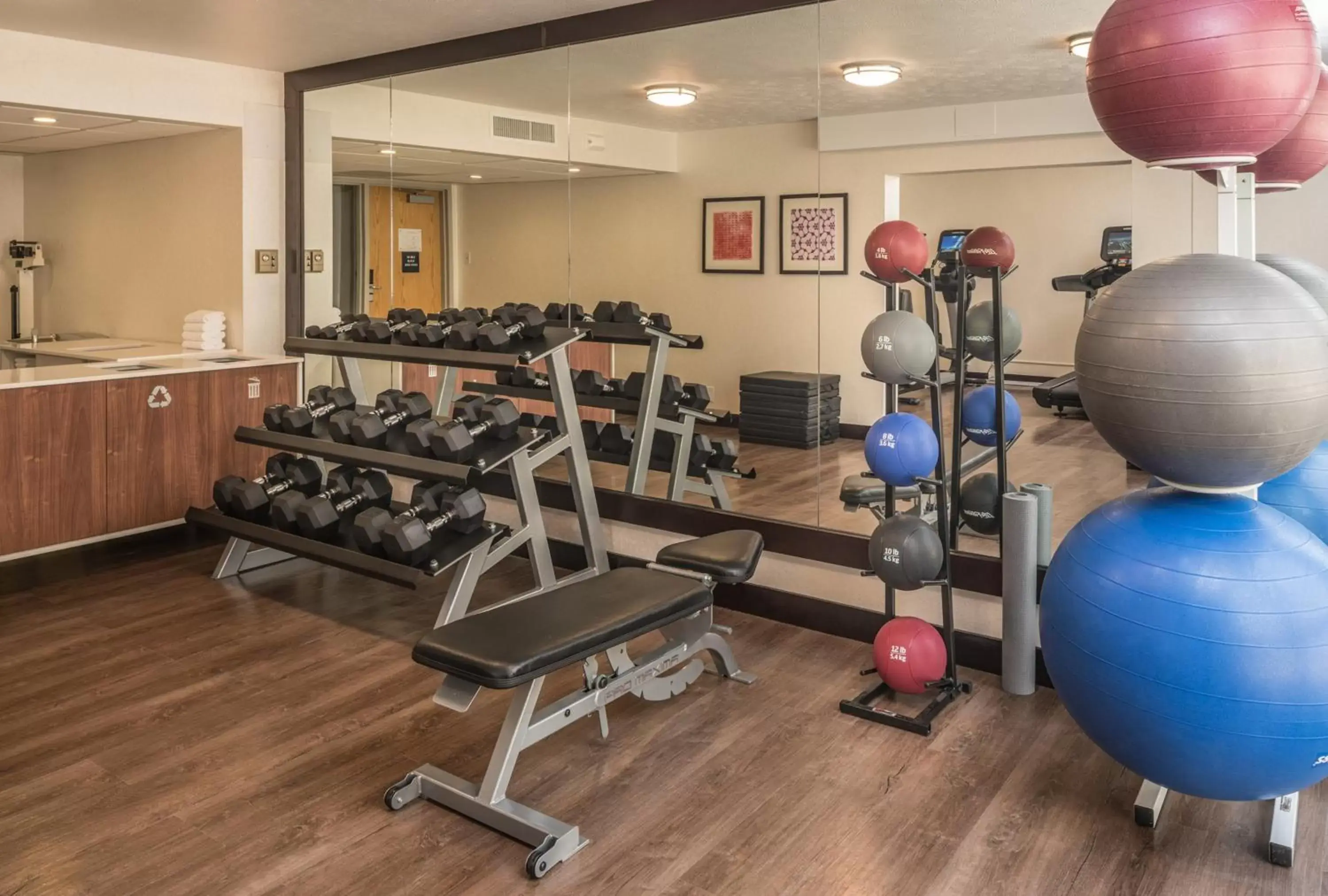 Spa and wellness centre/facilities, Fitness Center/Facilities in Holiday Inn Express & Suites Springfield, an IHG Hotel