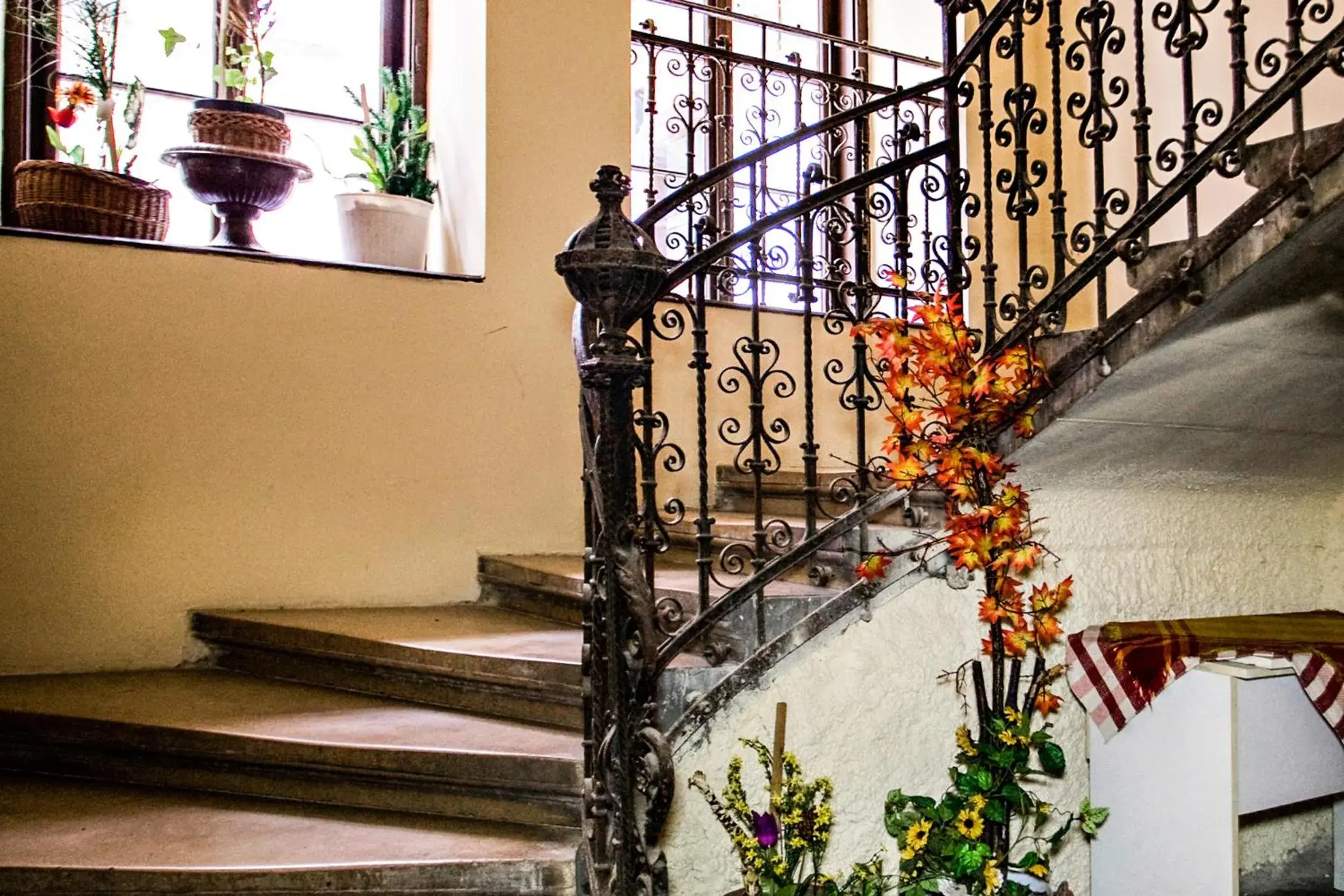 Facade/entrance in Corvin Point Rooms and Apartments Facade/entrance in Corvin Point Rooms and Apartments