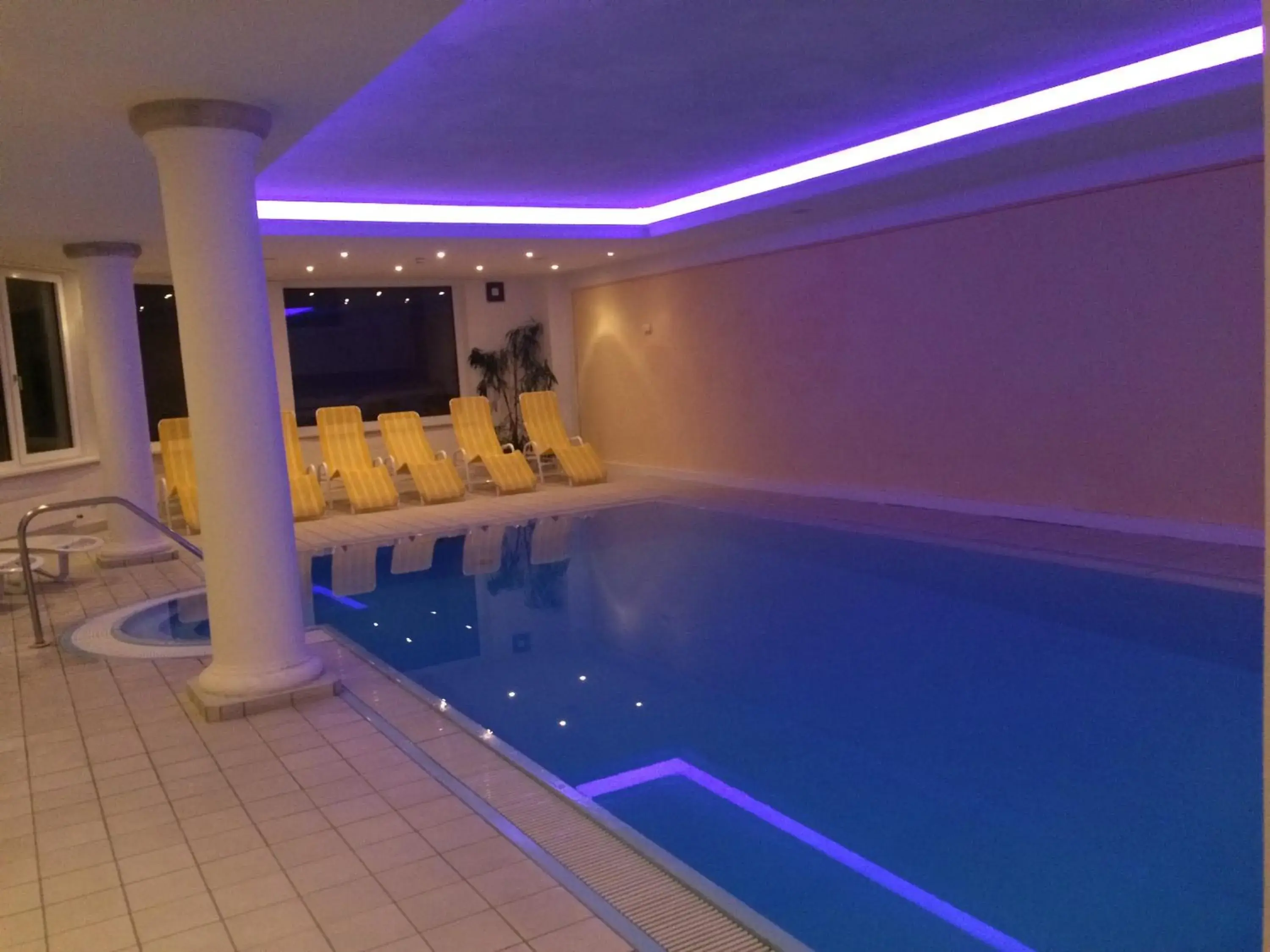 Swimming Pool in Hotel Erika
