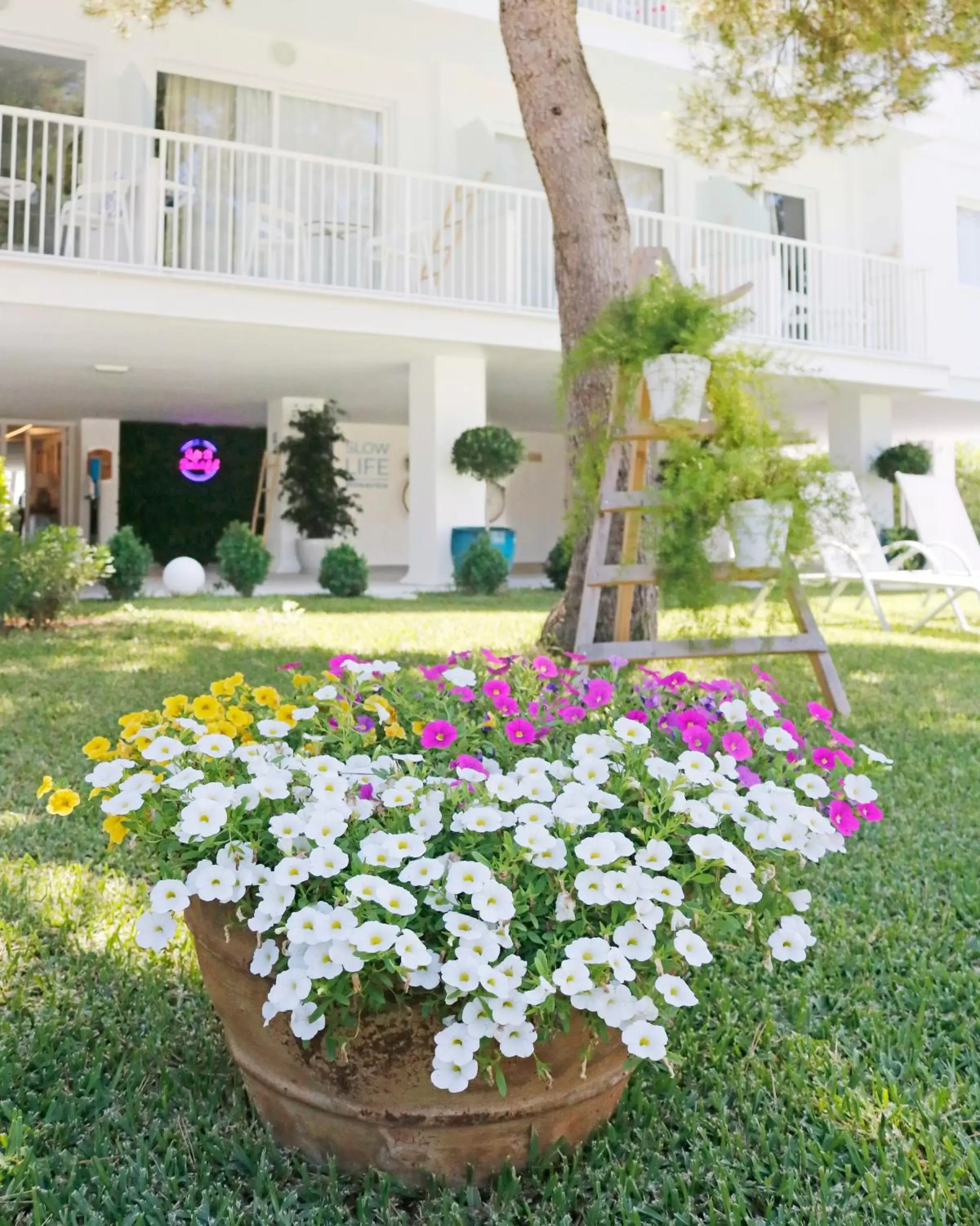 Garden in Bonavida Apartments