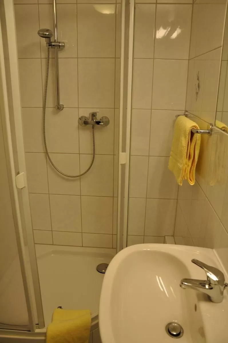 Shower in Hotel Bürgerhof