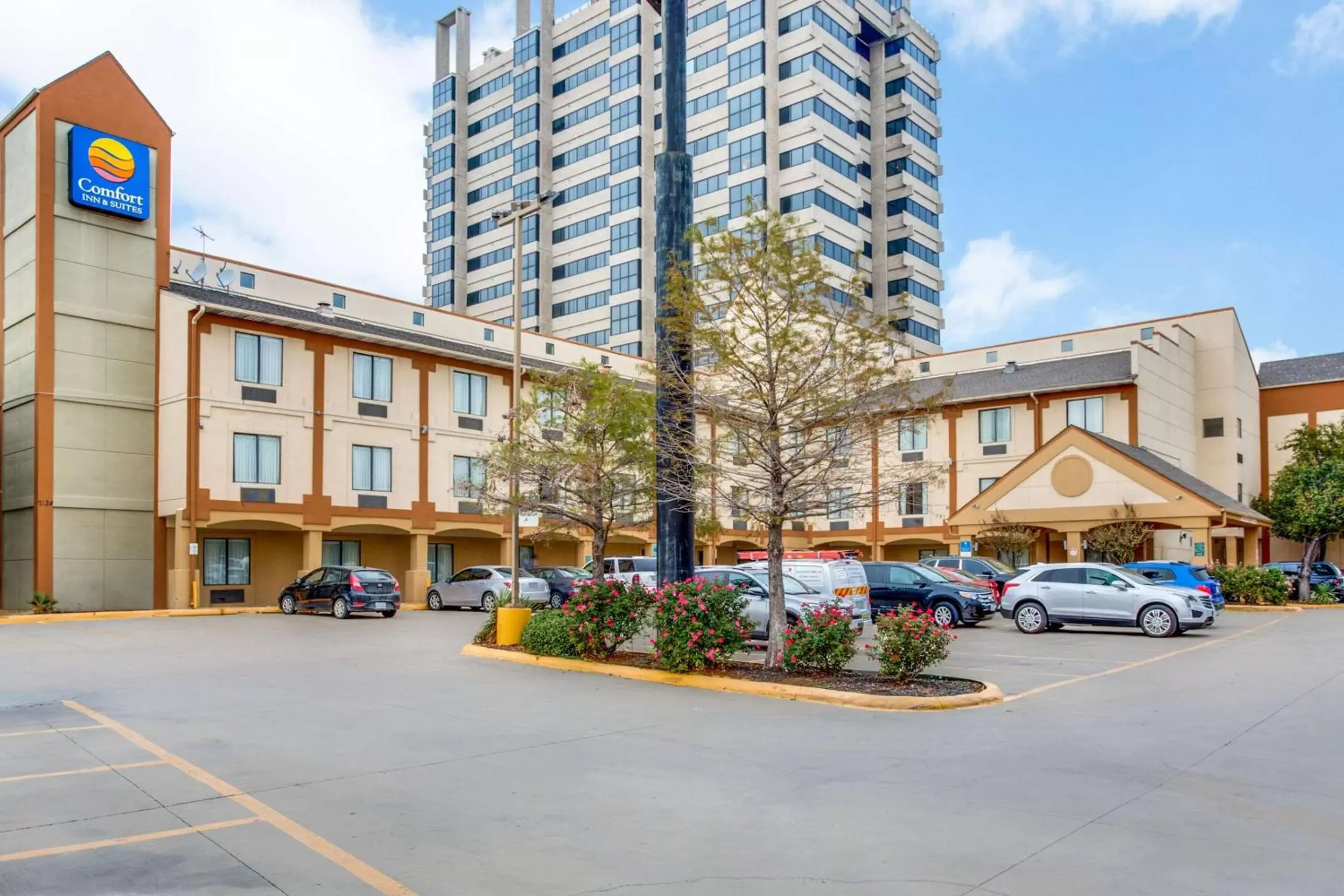 Property building in Comfort Inn & Suites Love Field-Dallas Market Center Property building in Comfort Inn & Suites Love Field-Dallas Market Center