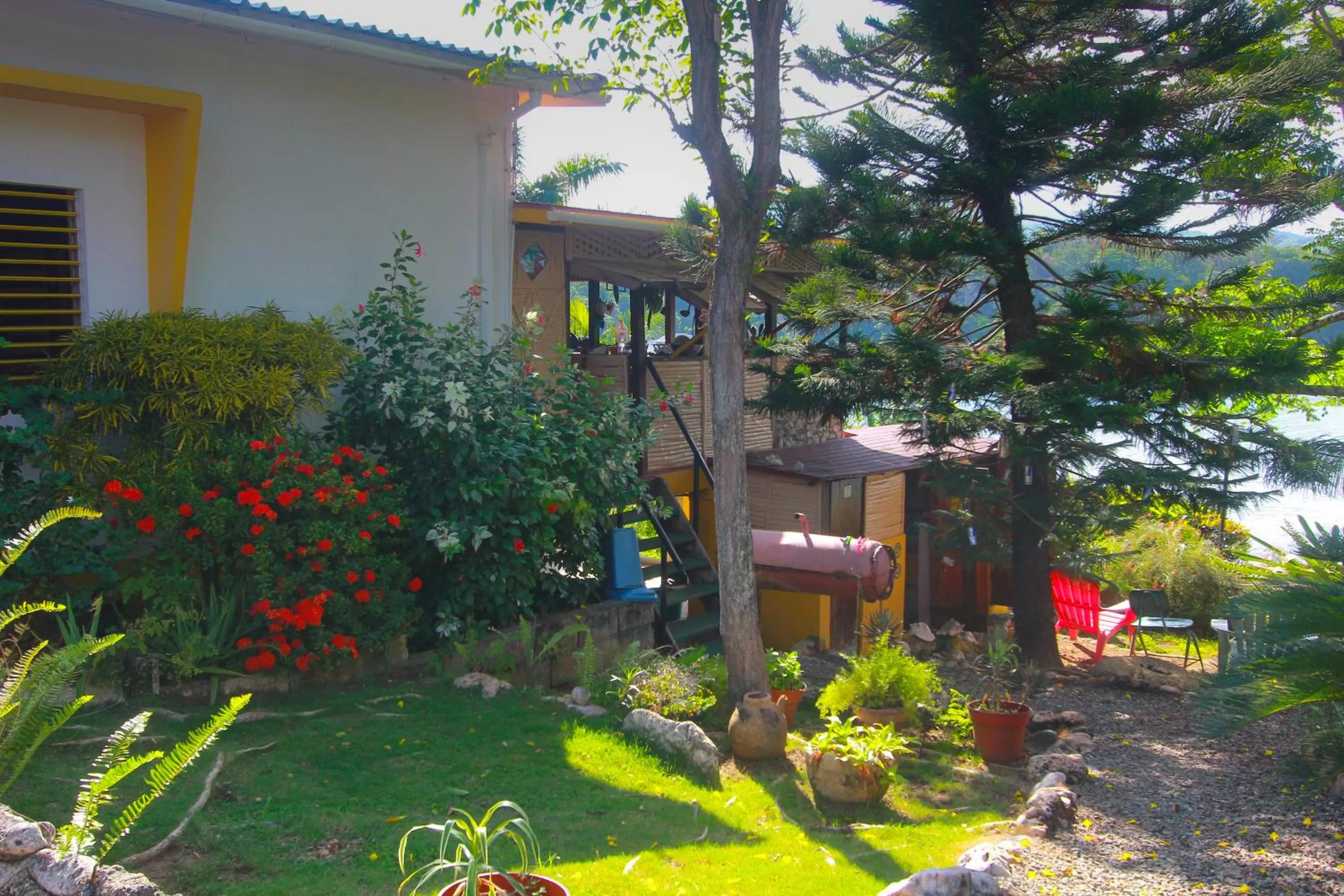 Natural landscape, Garden in Zion Country