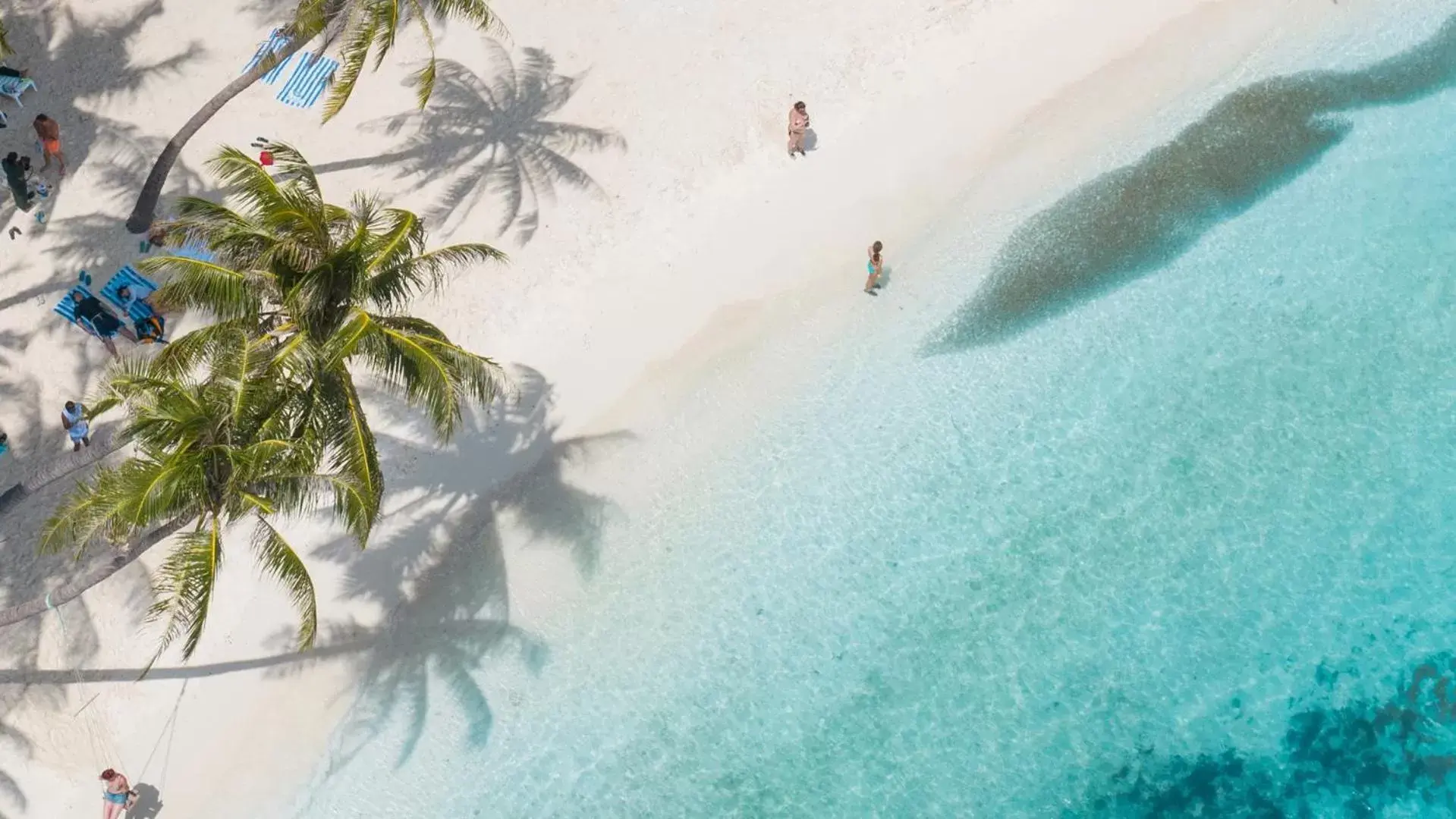 Beach, Bird's-eye View in Arena Beach Hotel