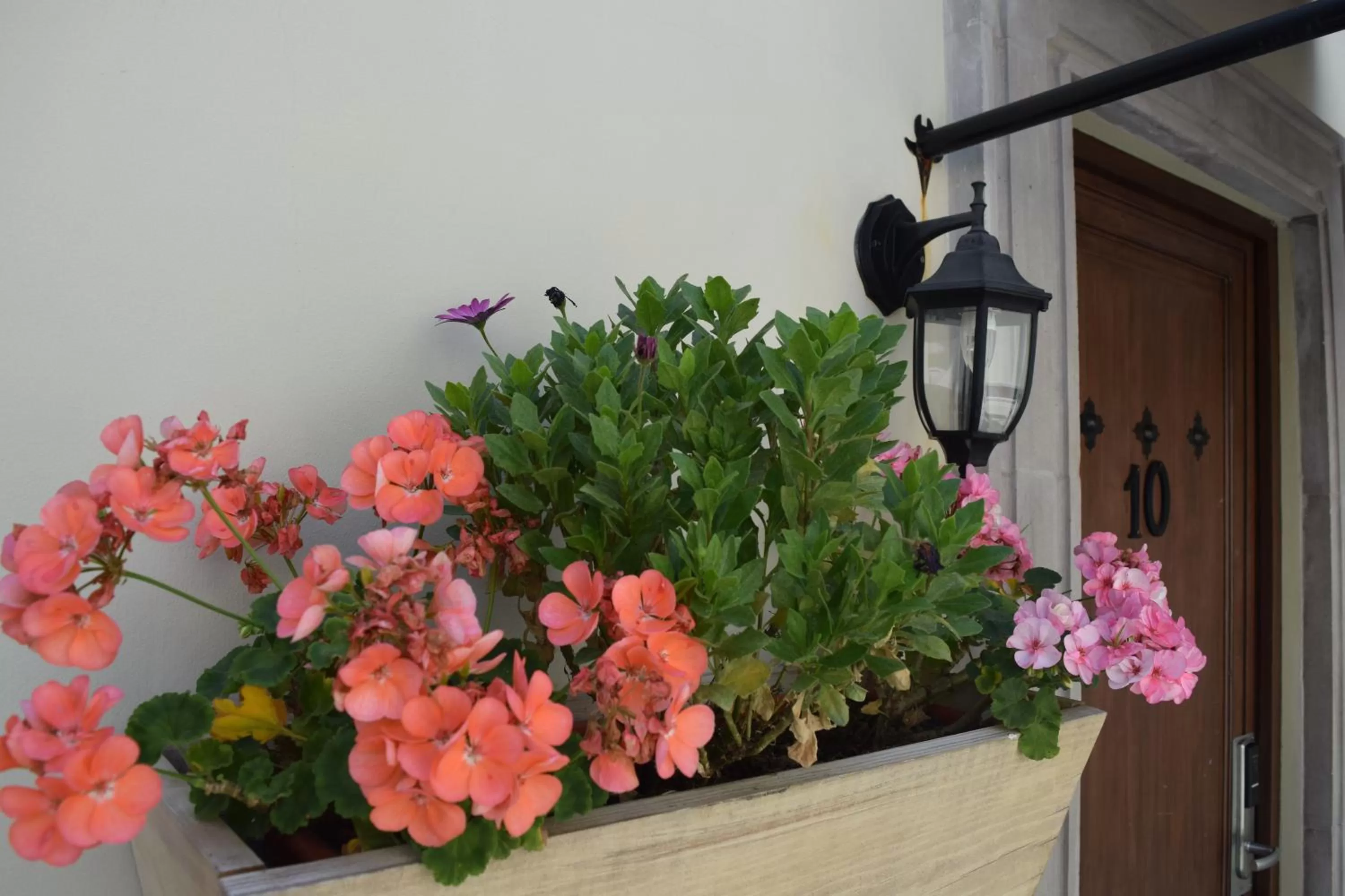 Inner courtyard view in Hotel Bouquet (Adults Only)