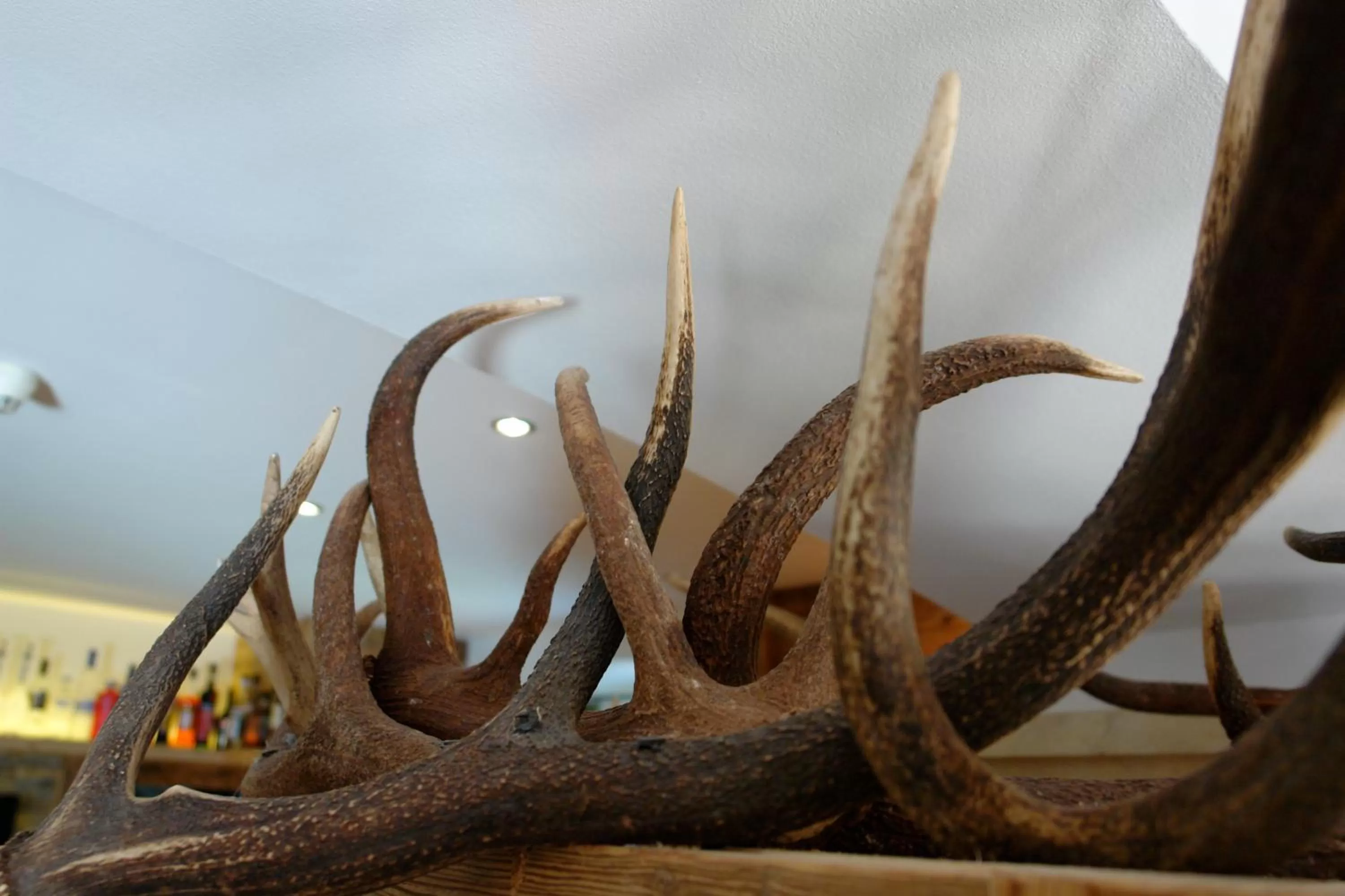 Decorative detail in Hotel Gamshof