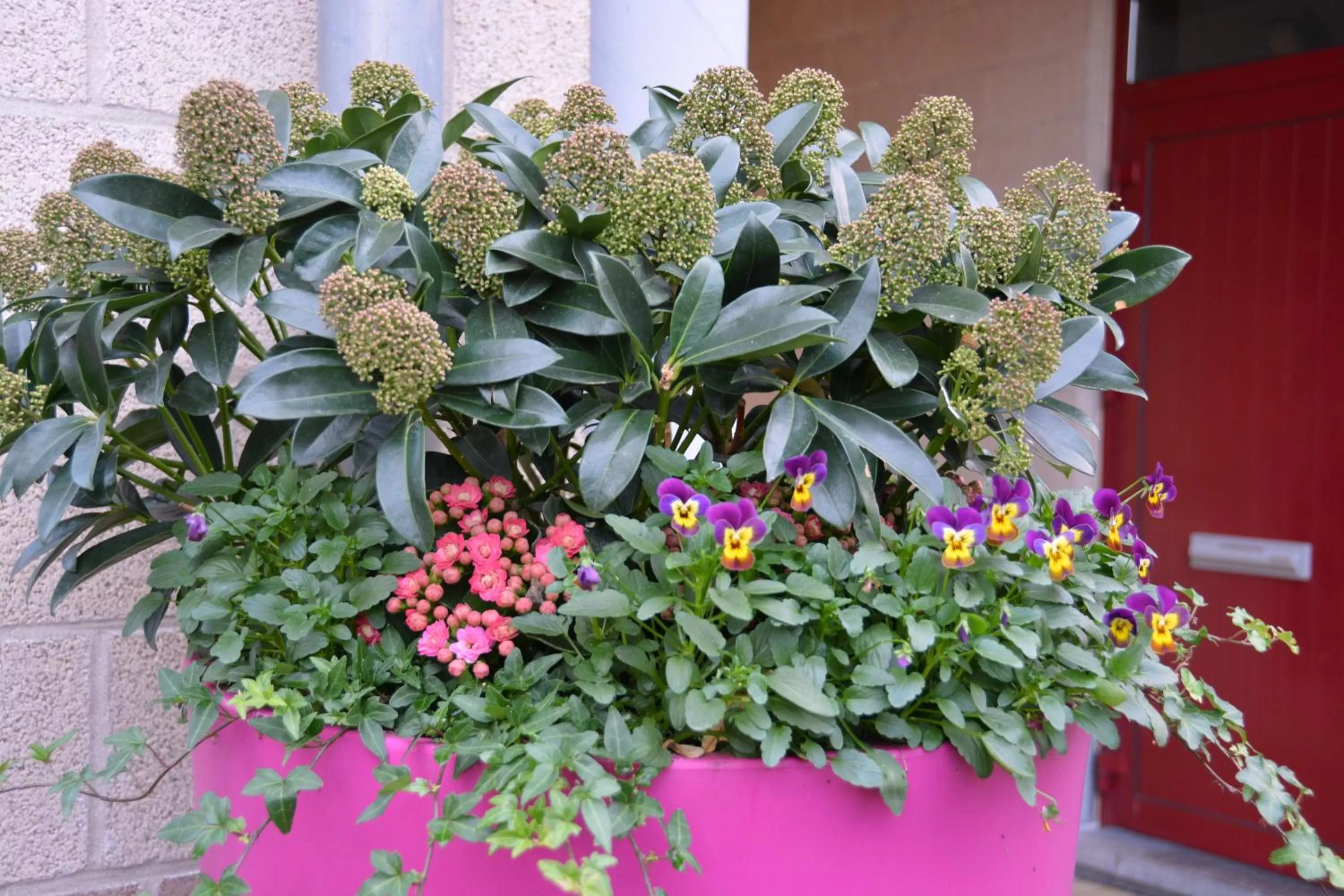Decorative detail in Haras des Chartreux