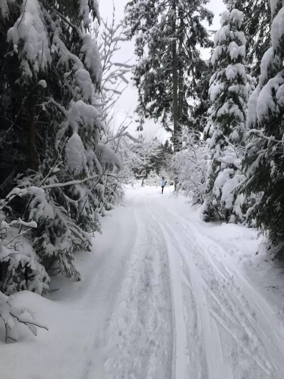 Skiing in Wellness penzion Medličky
