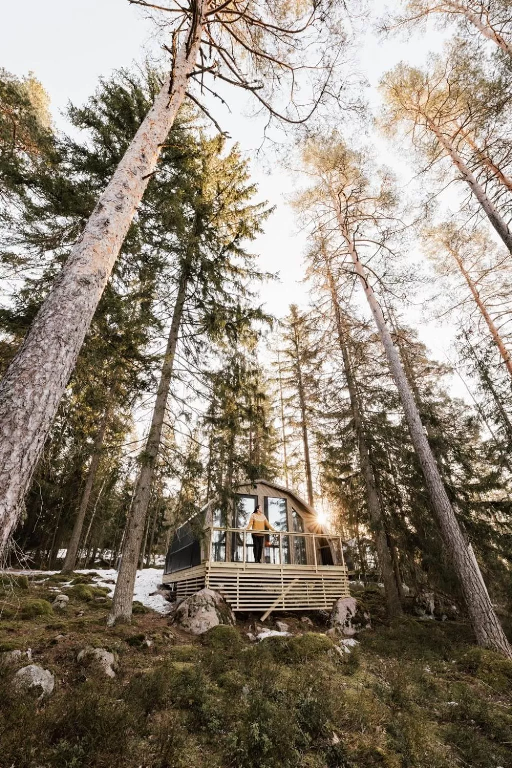 Haltia Lake Lodge nature boutique hotel & glamping