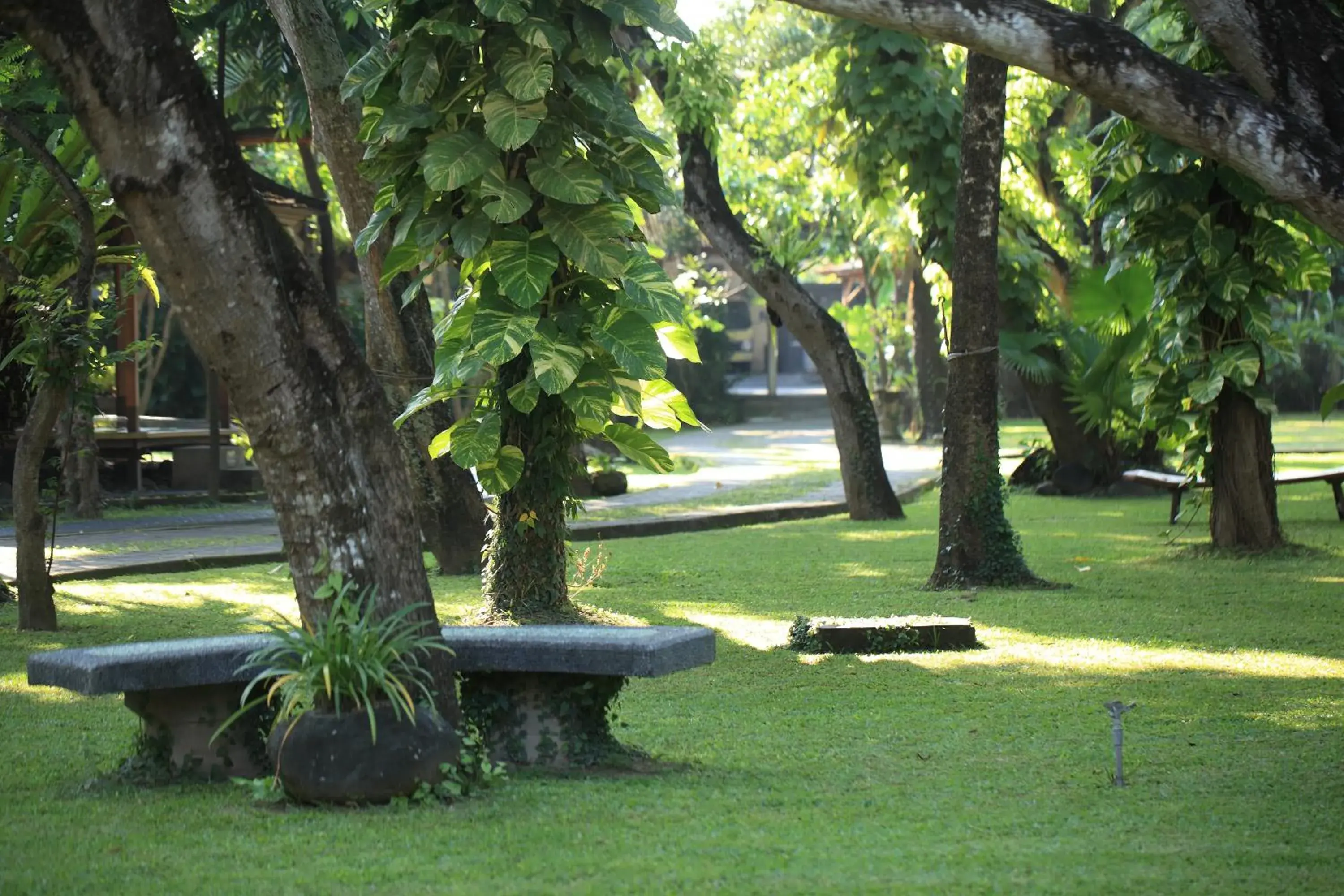 Garden in Matahari Bungalow Hotel