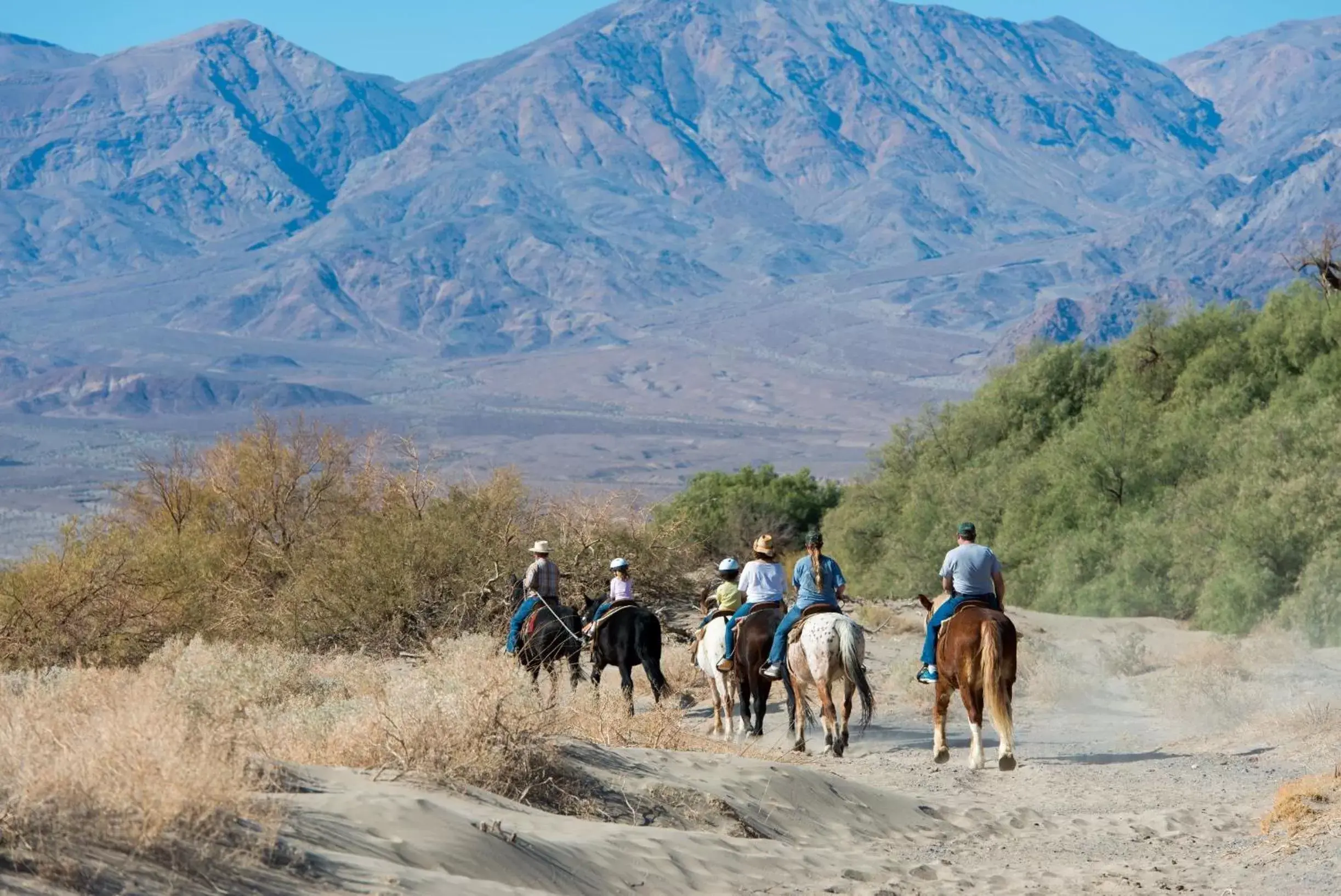 Horse-riding, Horseback Riding in The Inn at Death Valley