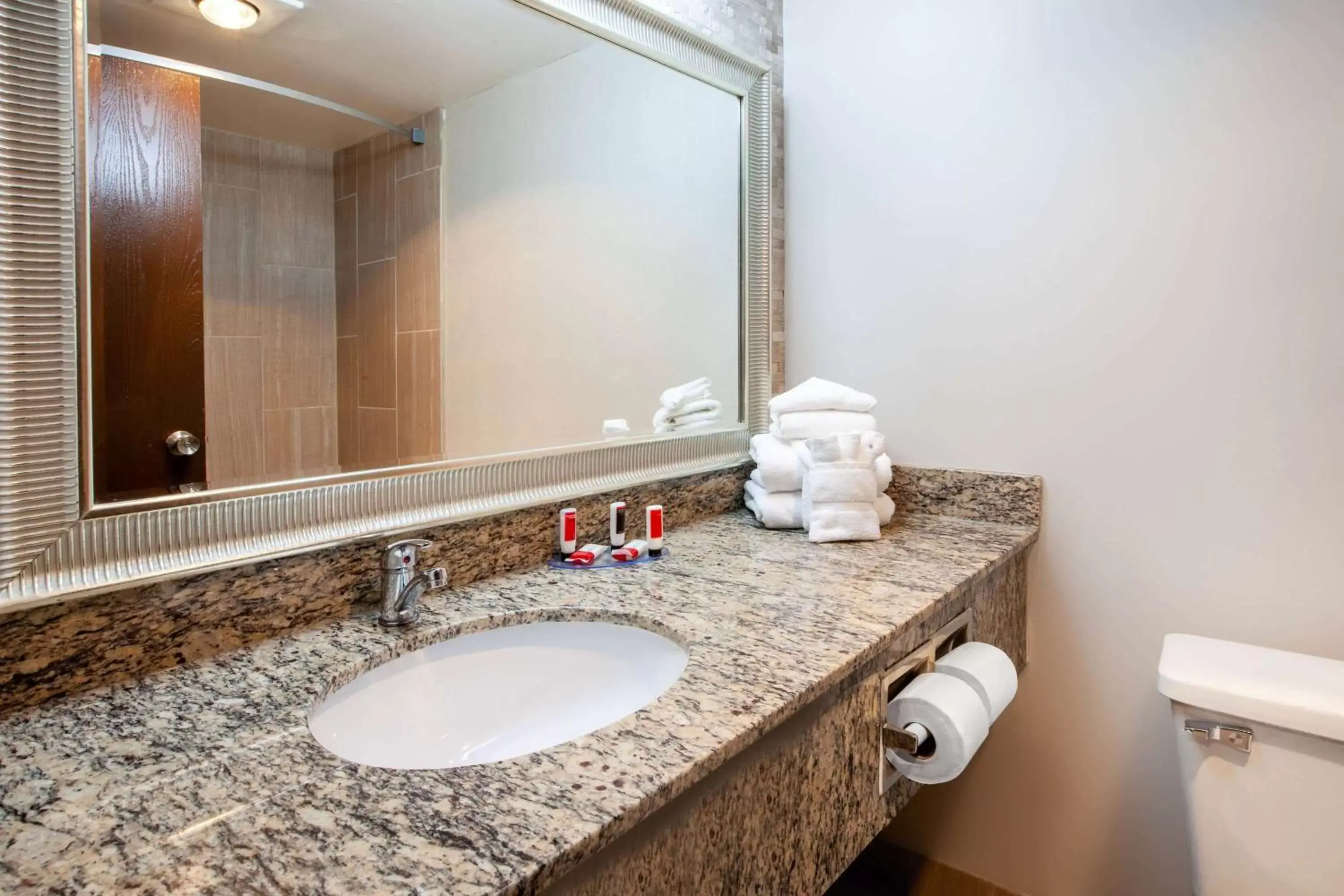 Bathroom in Wingate by Wyndham Detroit Metro Airport