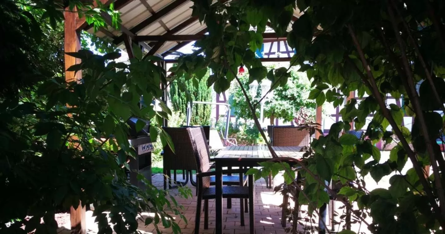 Patio in Maison d'hôtes Aux Deux Cigognes