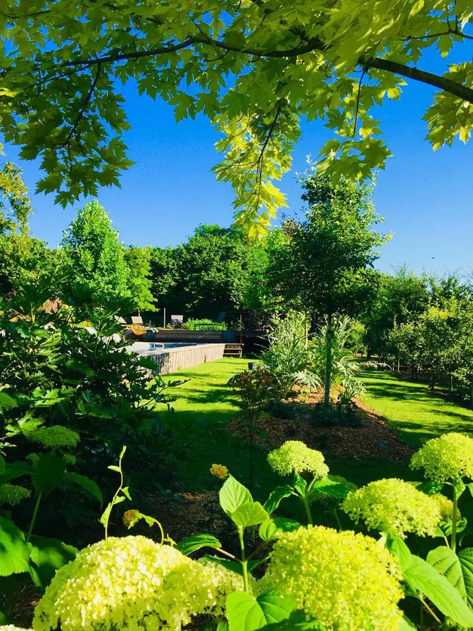 Garden in L'Ecole des Garçons