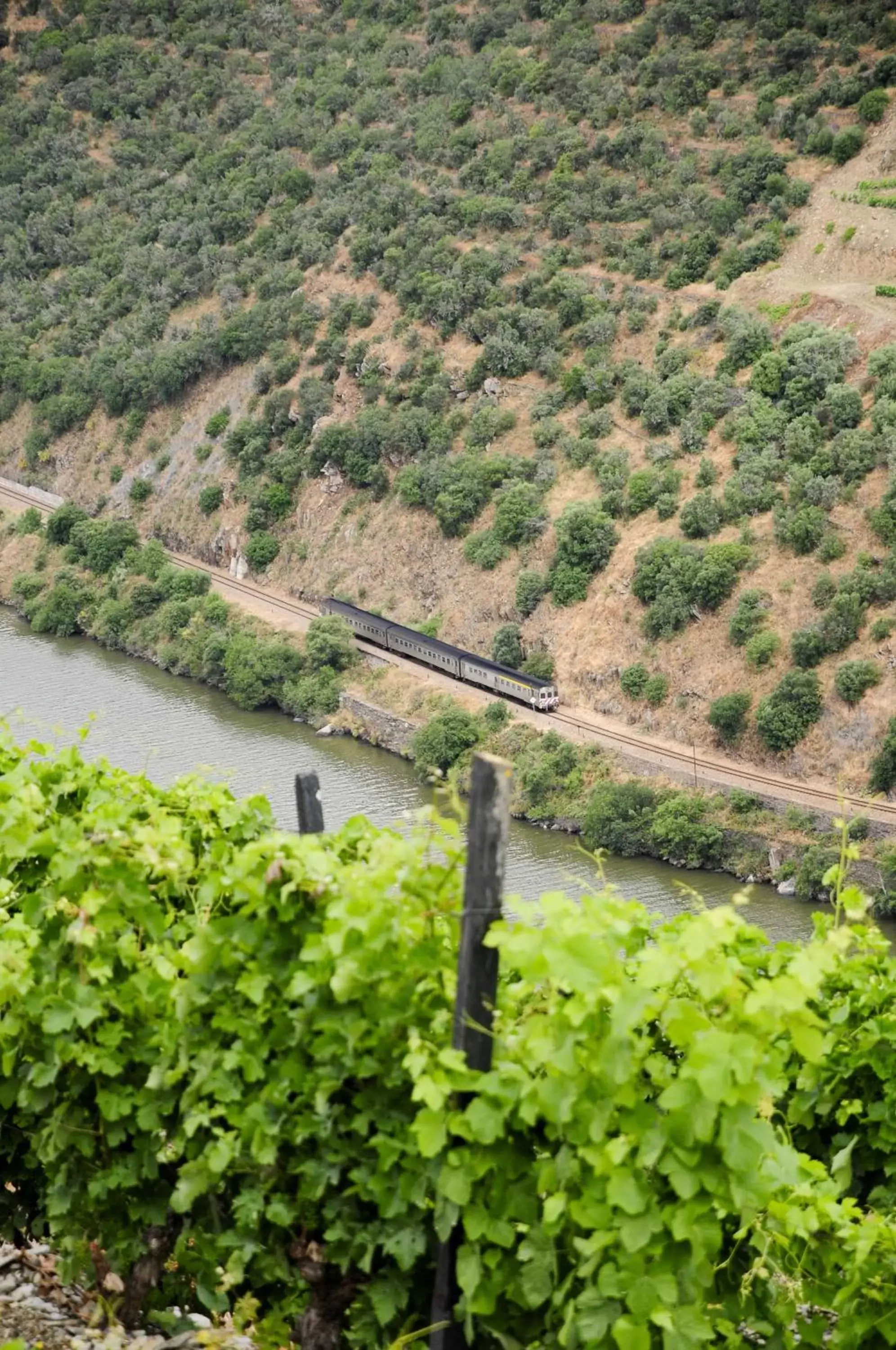 Natural landscape in Hotel Rural Quinta Do Pego