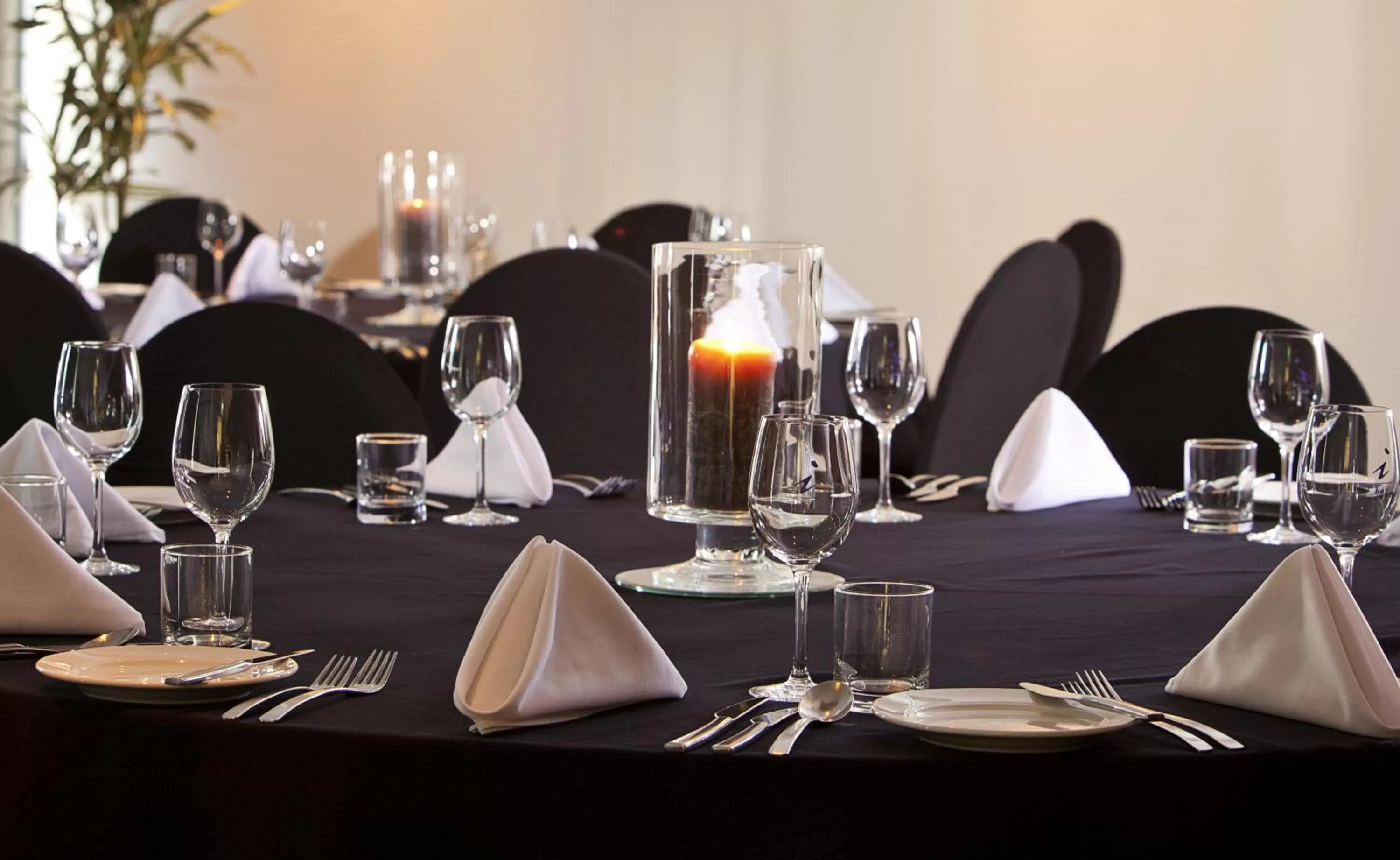 Banquet/Function facilities in ibis Hamilton Tainui