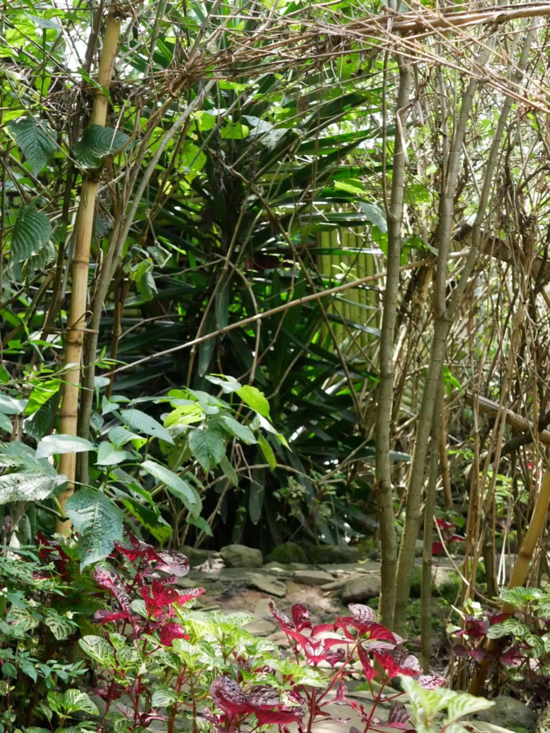 Garden in Fravan Eco Resort By Apogee