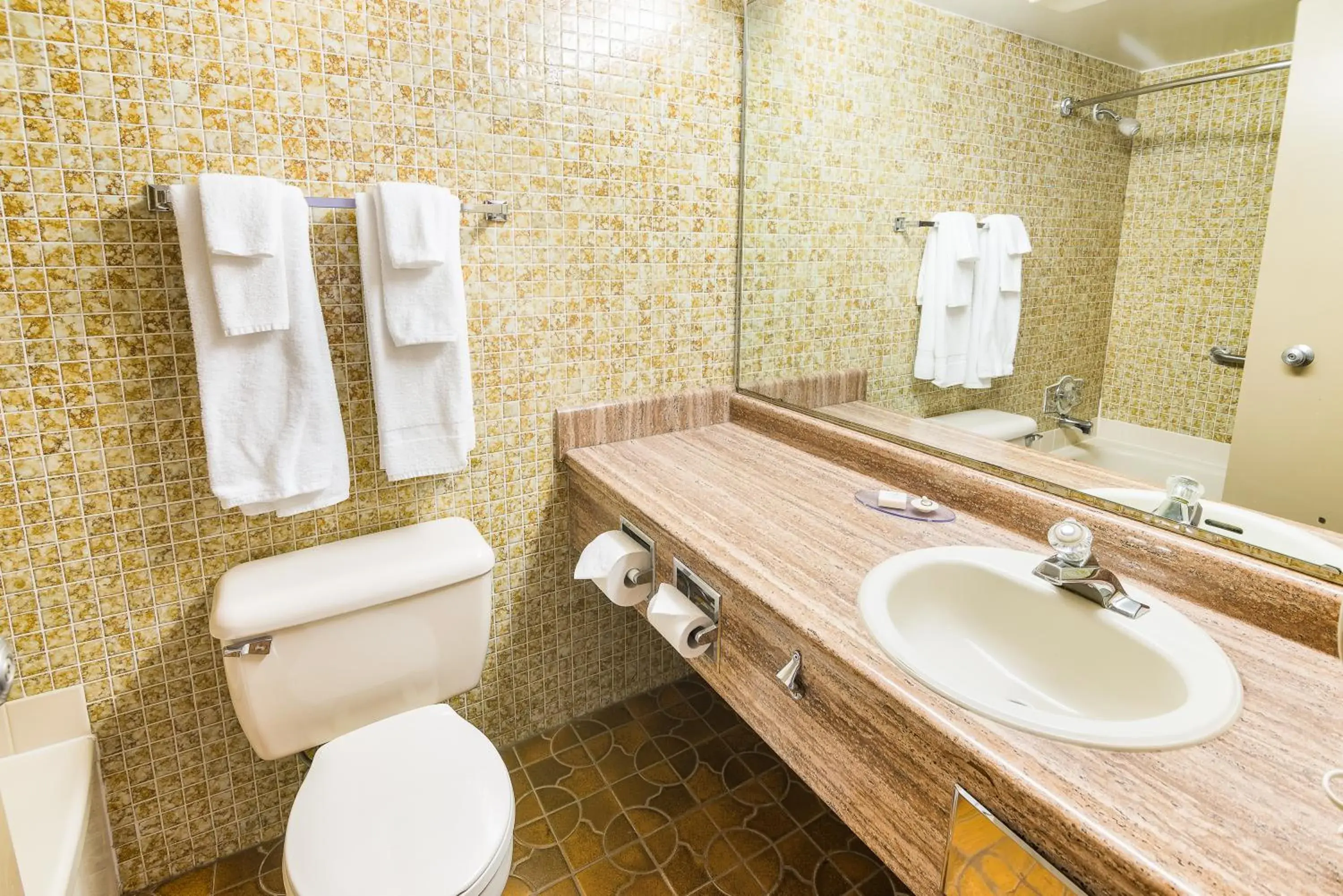 Bathroom in Ramada by Wyndham Thunder Bay Airlane Hotel