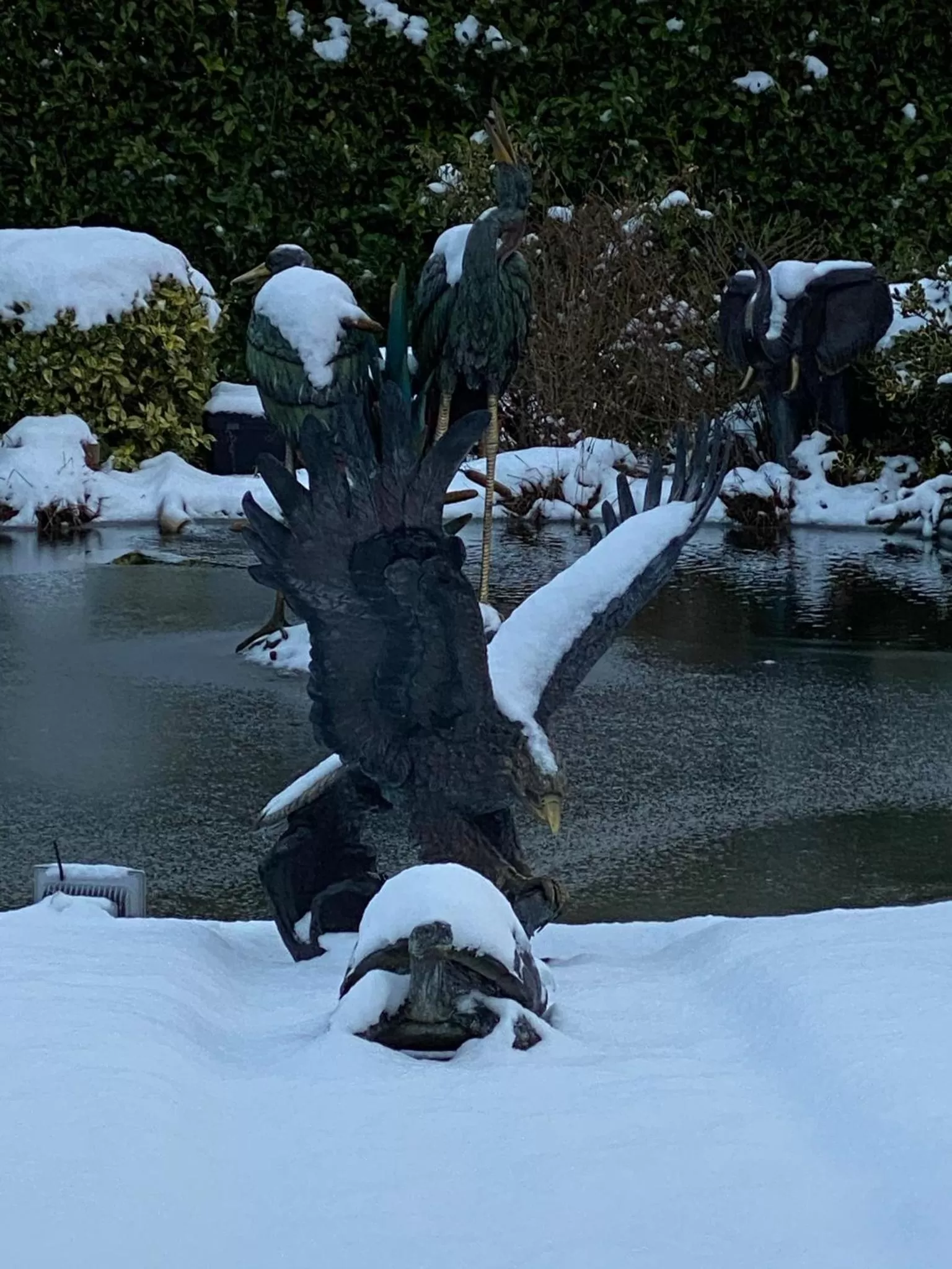 Garden in The Hilltop Haven