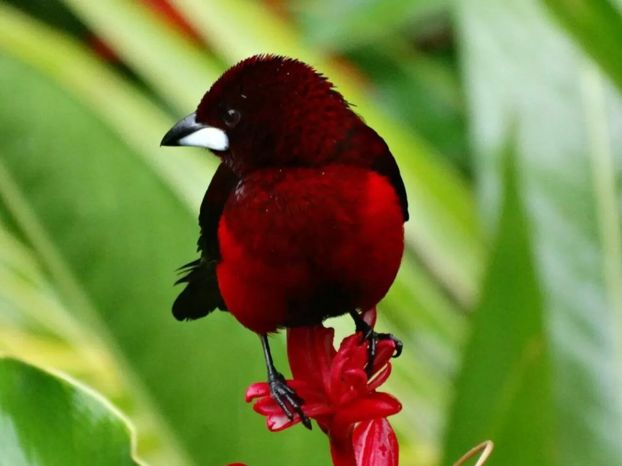 Activities in Posada Turística Rocas De Cabo Marzo