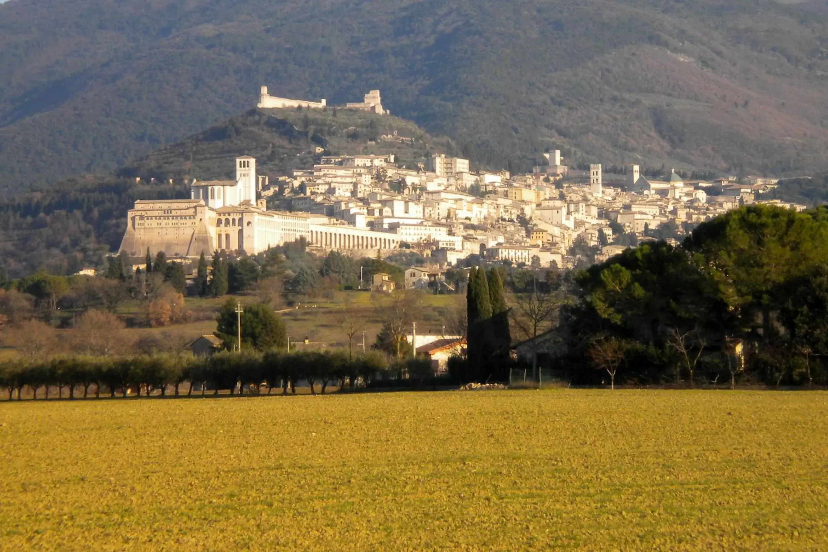 Place of worship in Il Borgo del Fattore B&B