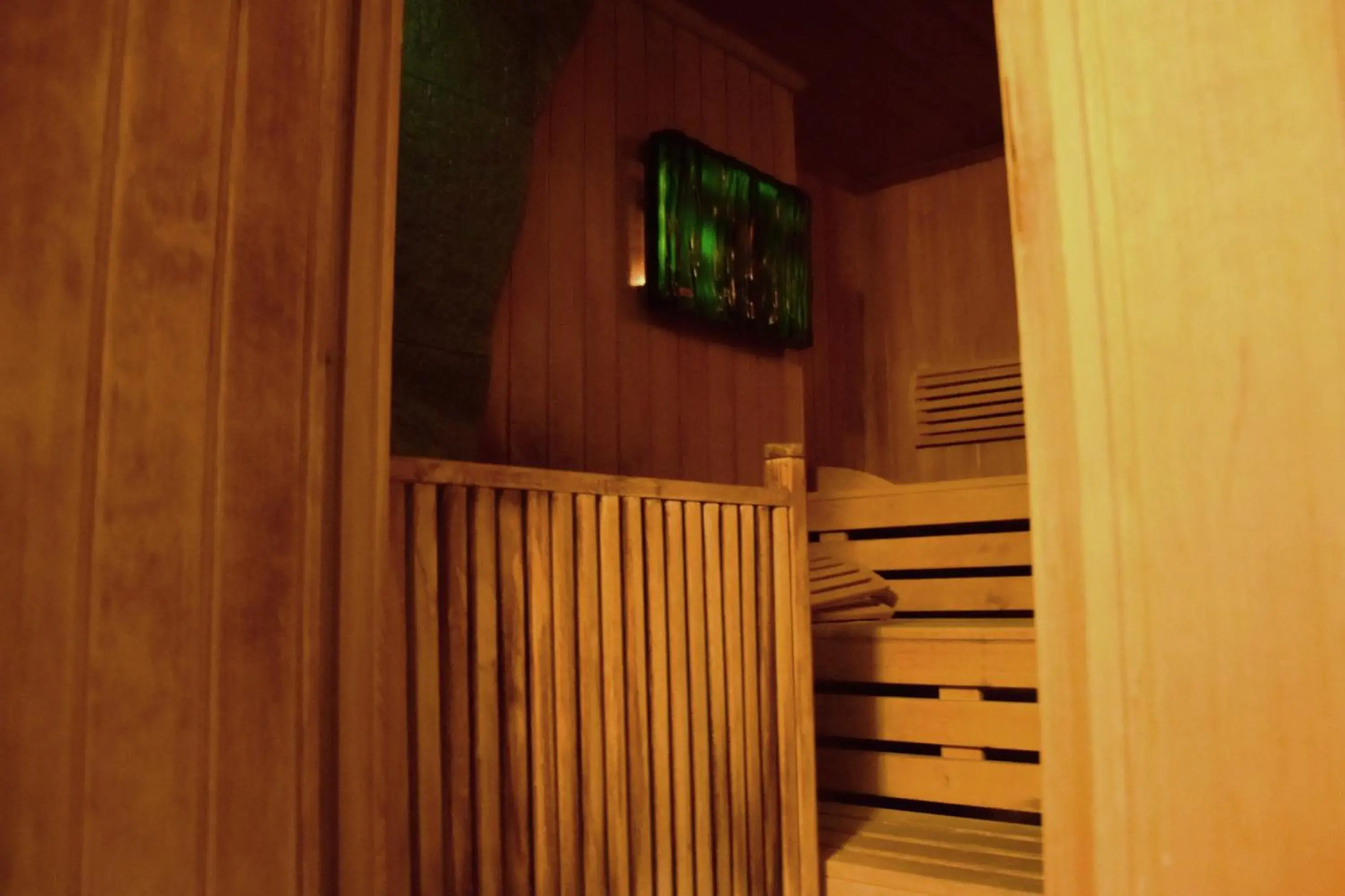 Sauna, TV/Entertainment Center in Akzent Hotel Roter Löwe