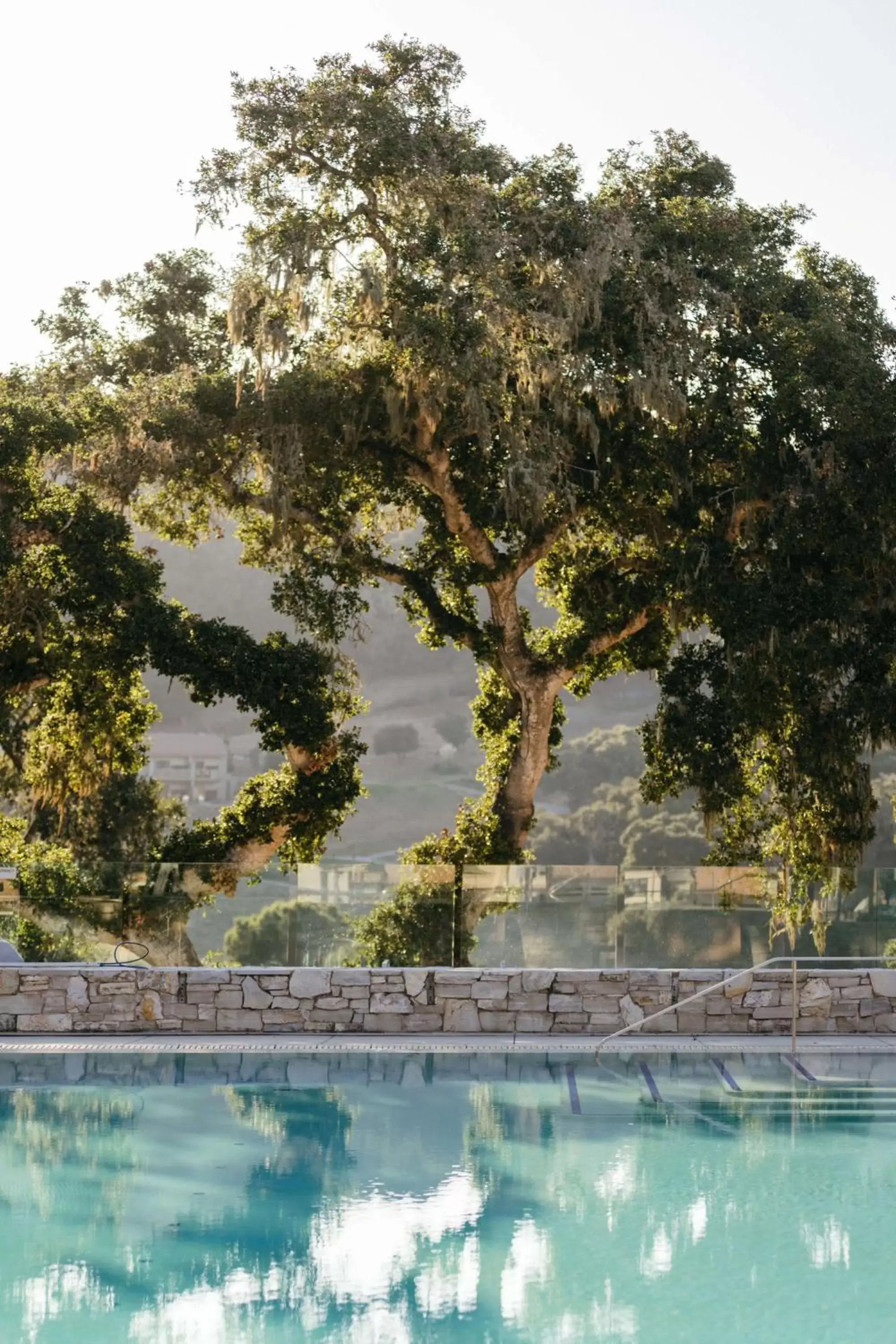 Swimming Pool in Carmel Valley Ranch, in The Unbound Collection by Hyatt