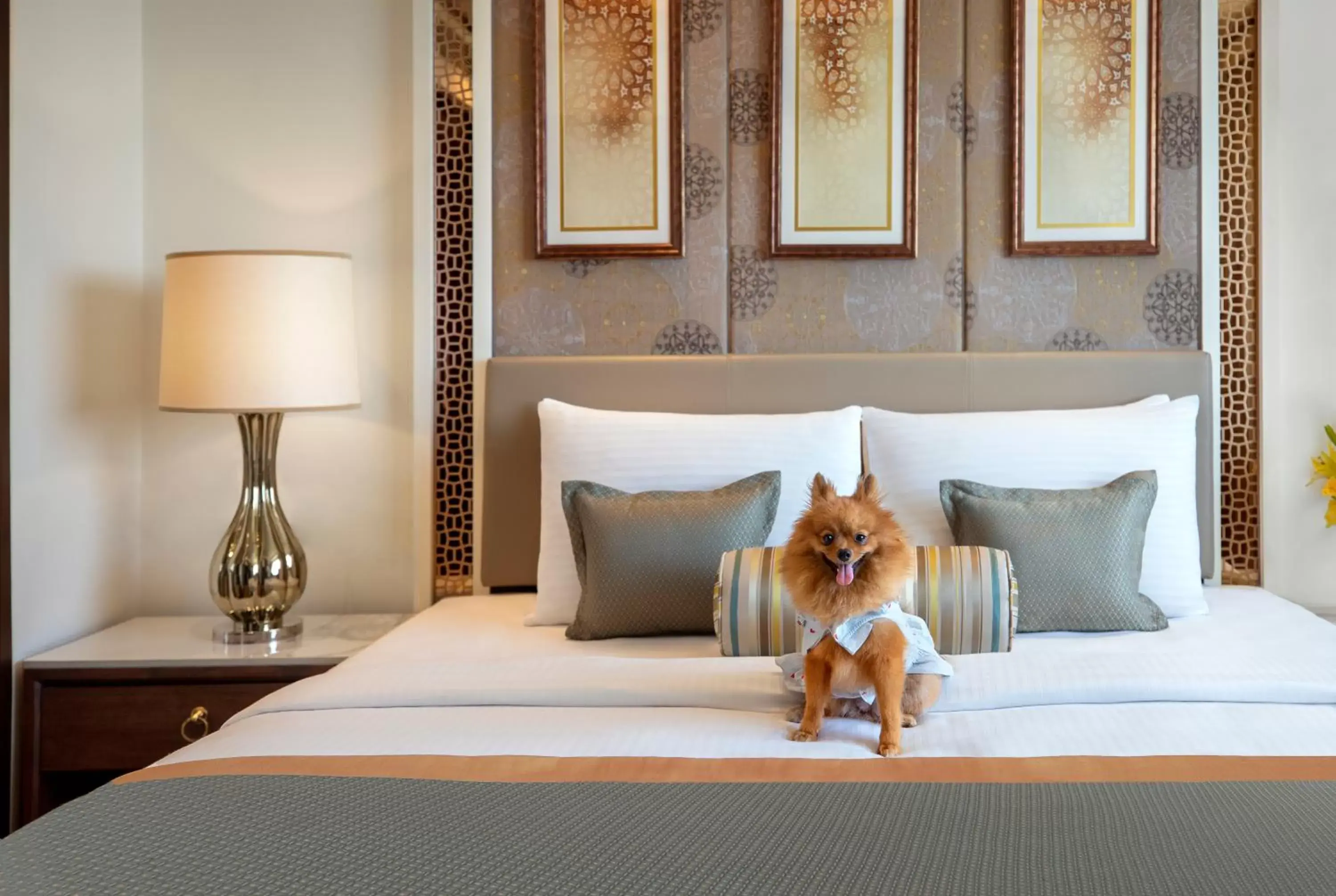 Pets, Bed in Tajview,Agra-IHCL SeleQtions