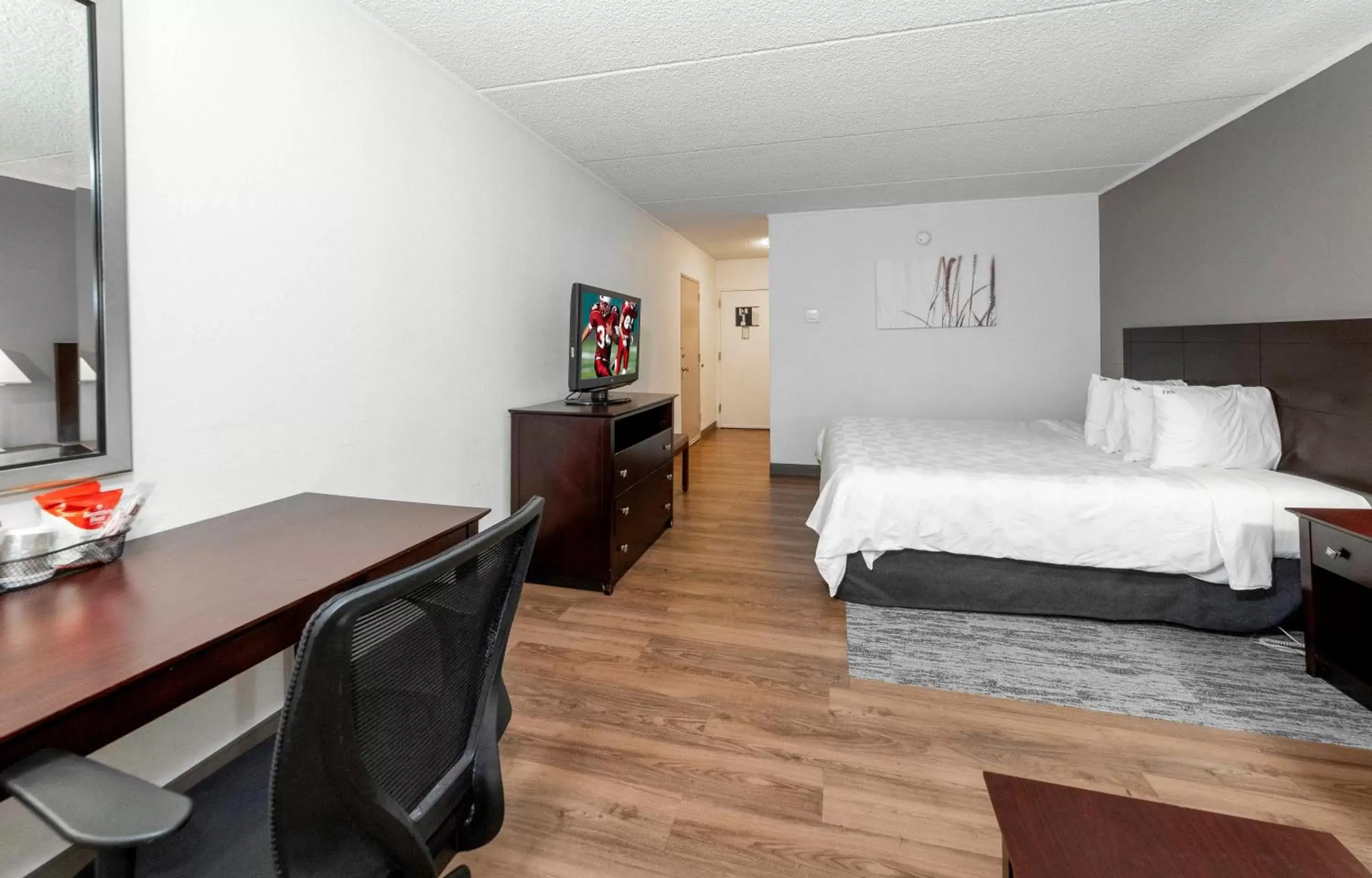 Photo of the whole room in Red Roof Inn PLUS Newark Liberty Airport - Carteret