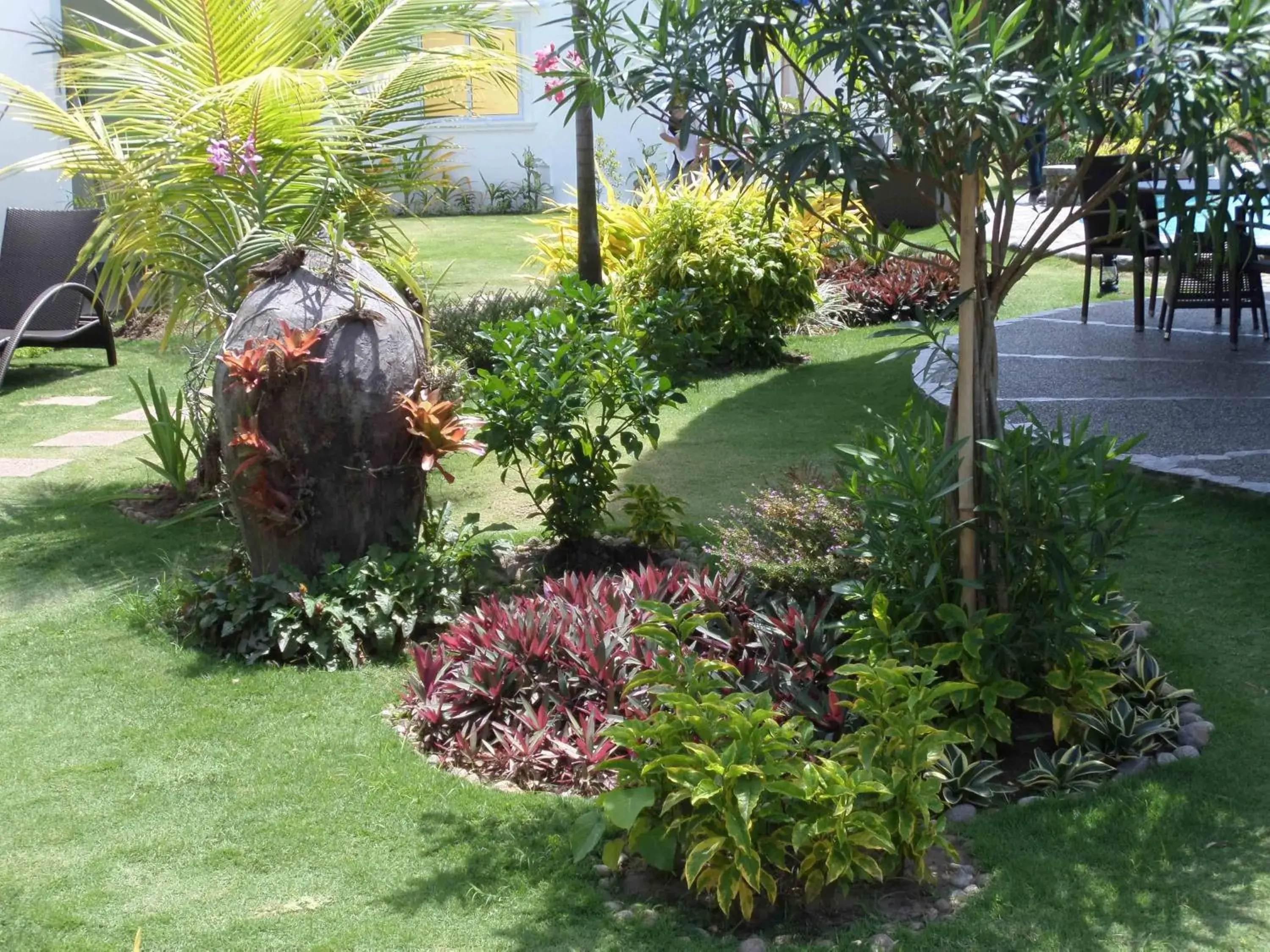 Garden in White Chocolate Hills Resort